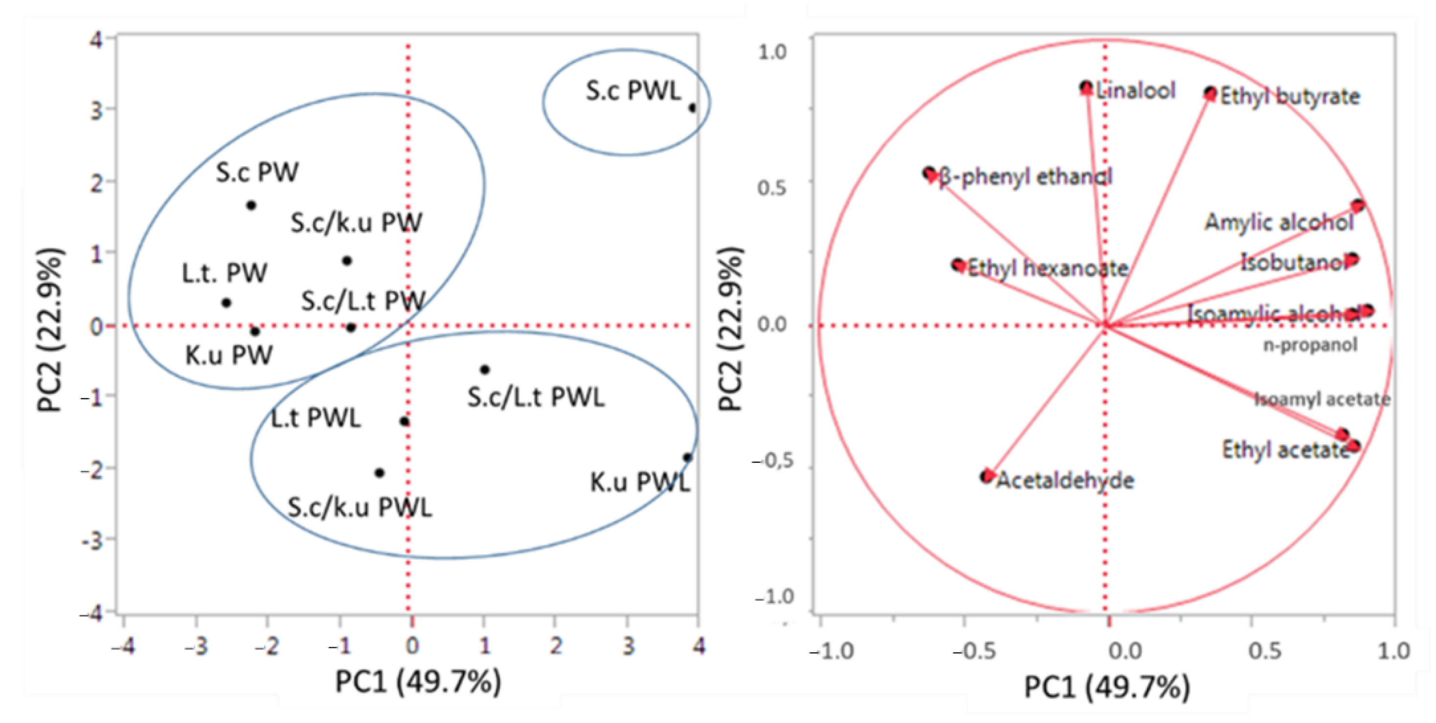 Foods 11 02787 g003 550