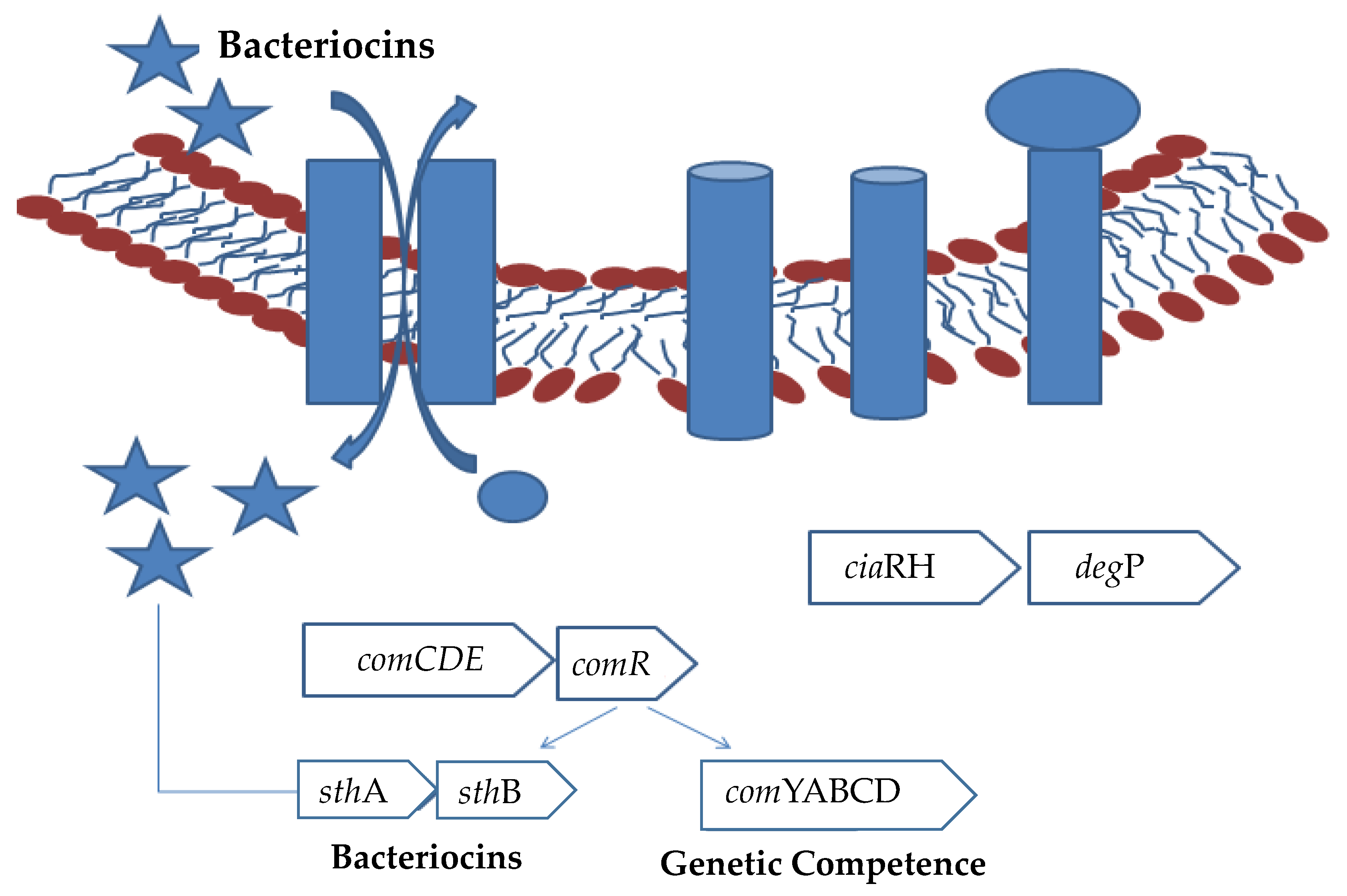 Foods 11 02792 g001 Foods 11 02792 g001