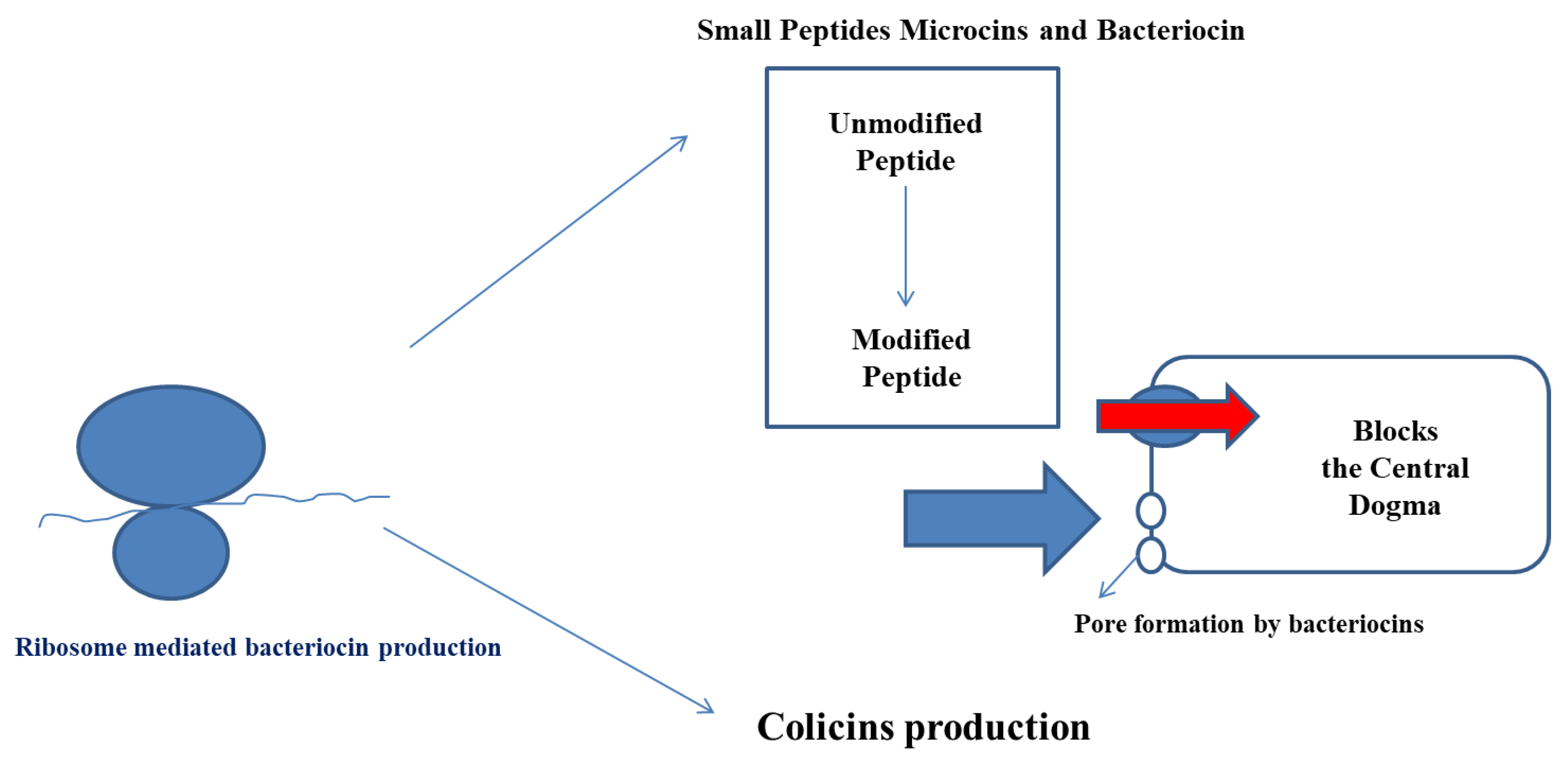 Foods 11 02792 g002 Foods 11 02792 g002
