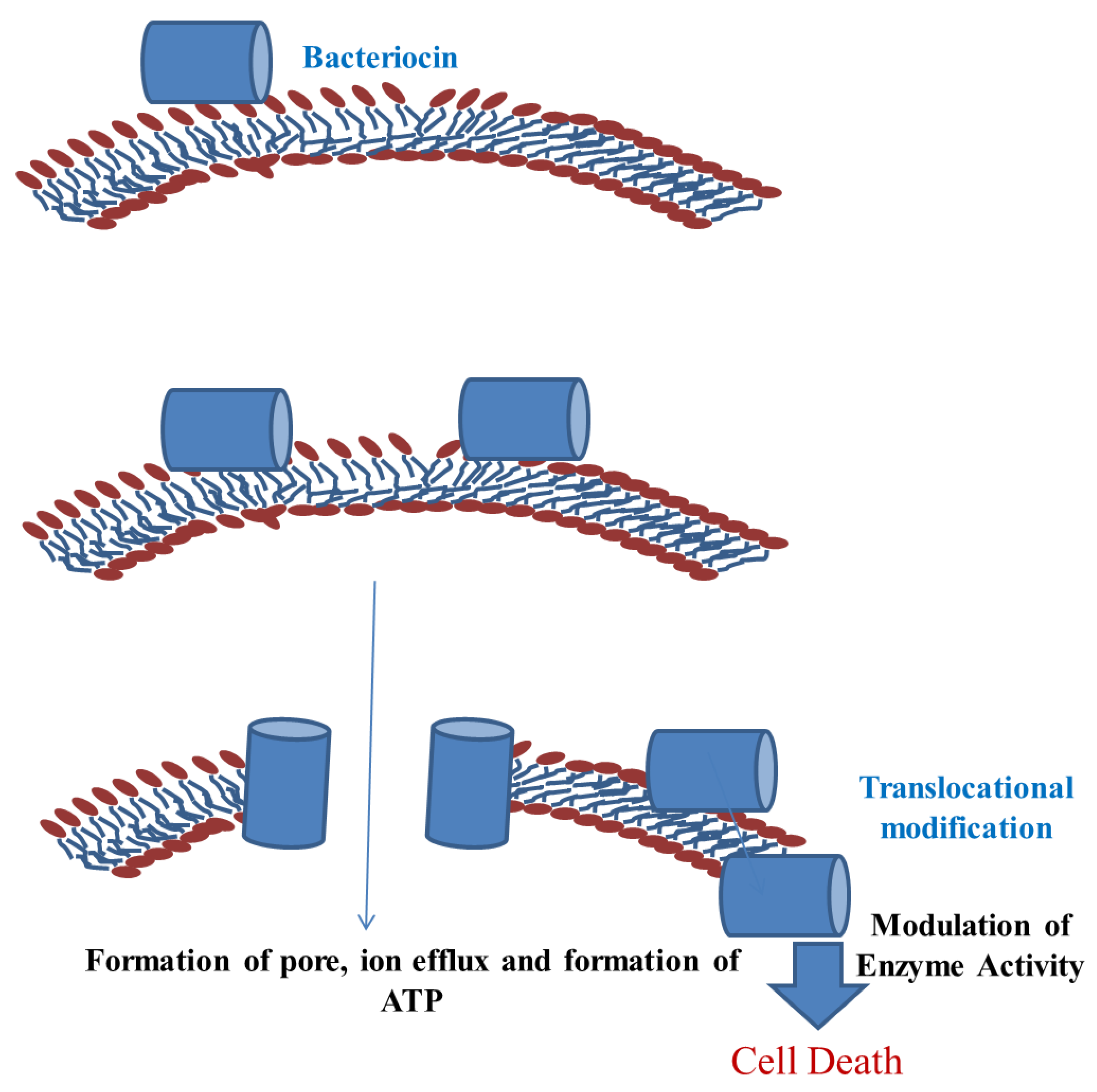 Foods 11 02792 g003 Foods 11 02792 g003
