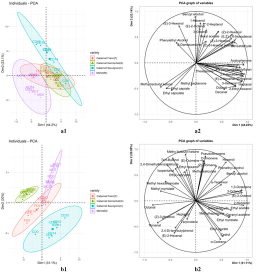 GC–MS Untargeted Analysis of Volatile Compounds in Four Red