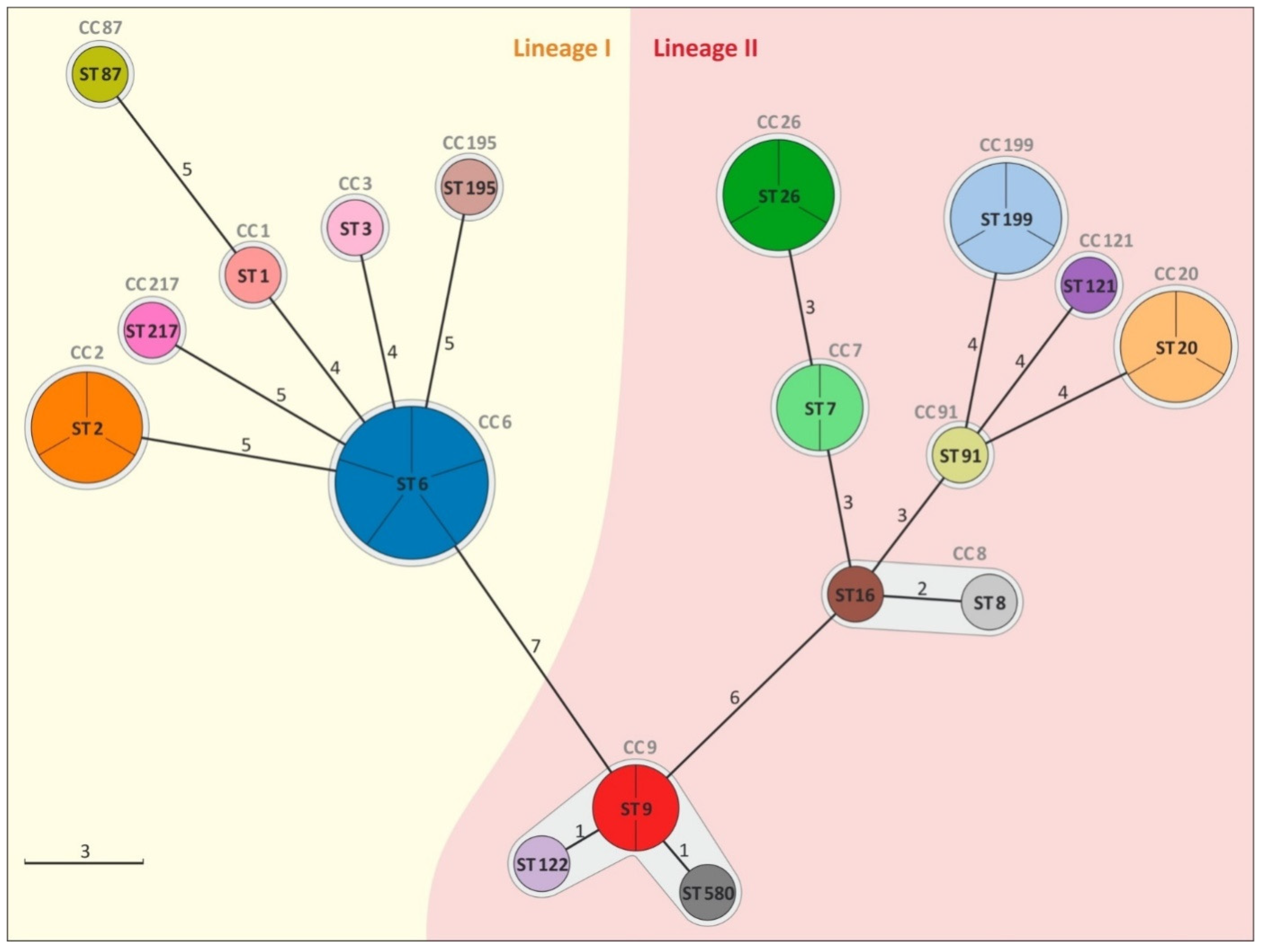 Foods 11 02805 g001 550