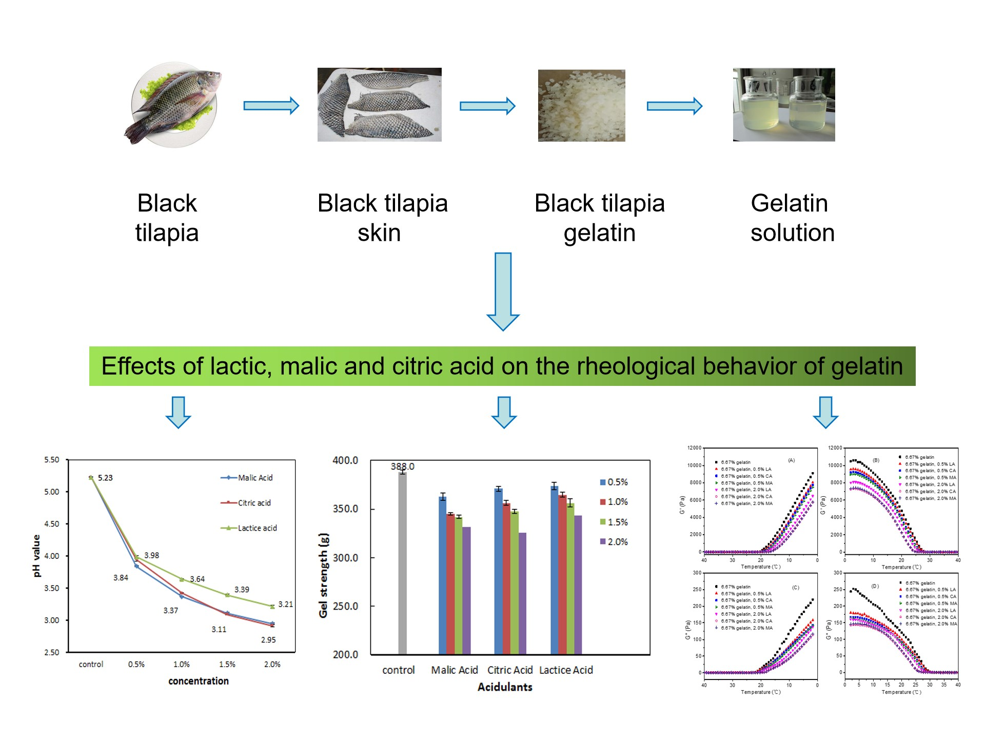 Foods Free FullText Effects of Acidulants on the Rheological