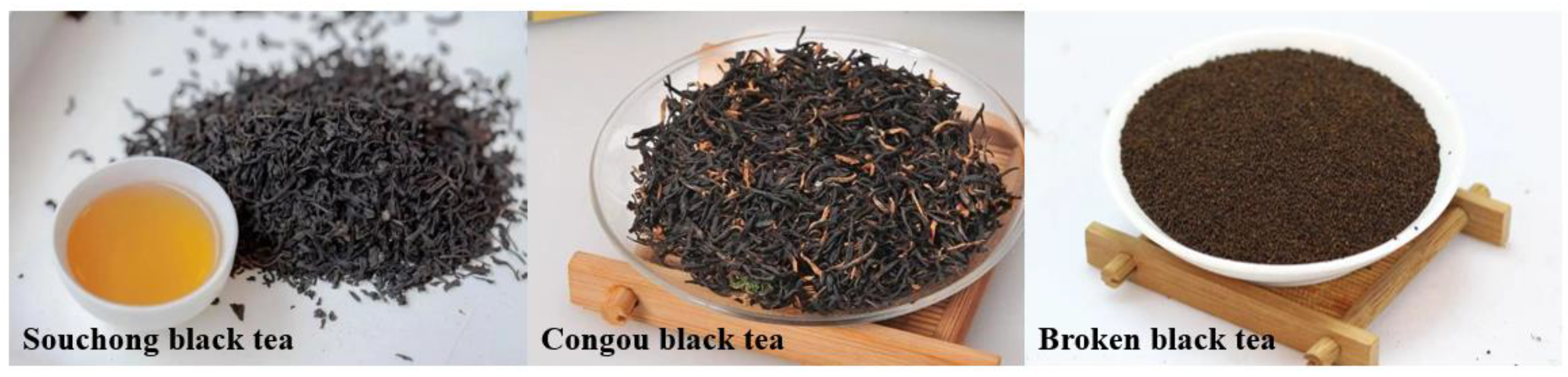 Foods 11 02815 g001 Foods 11 02815 g001