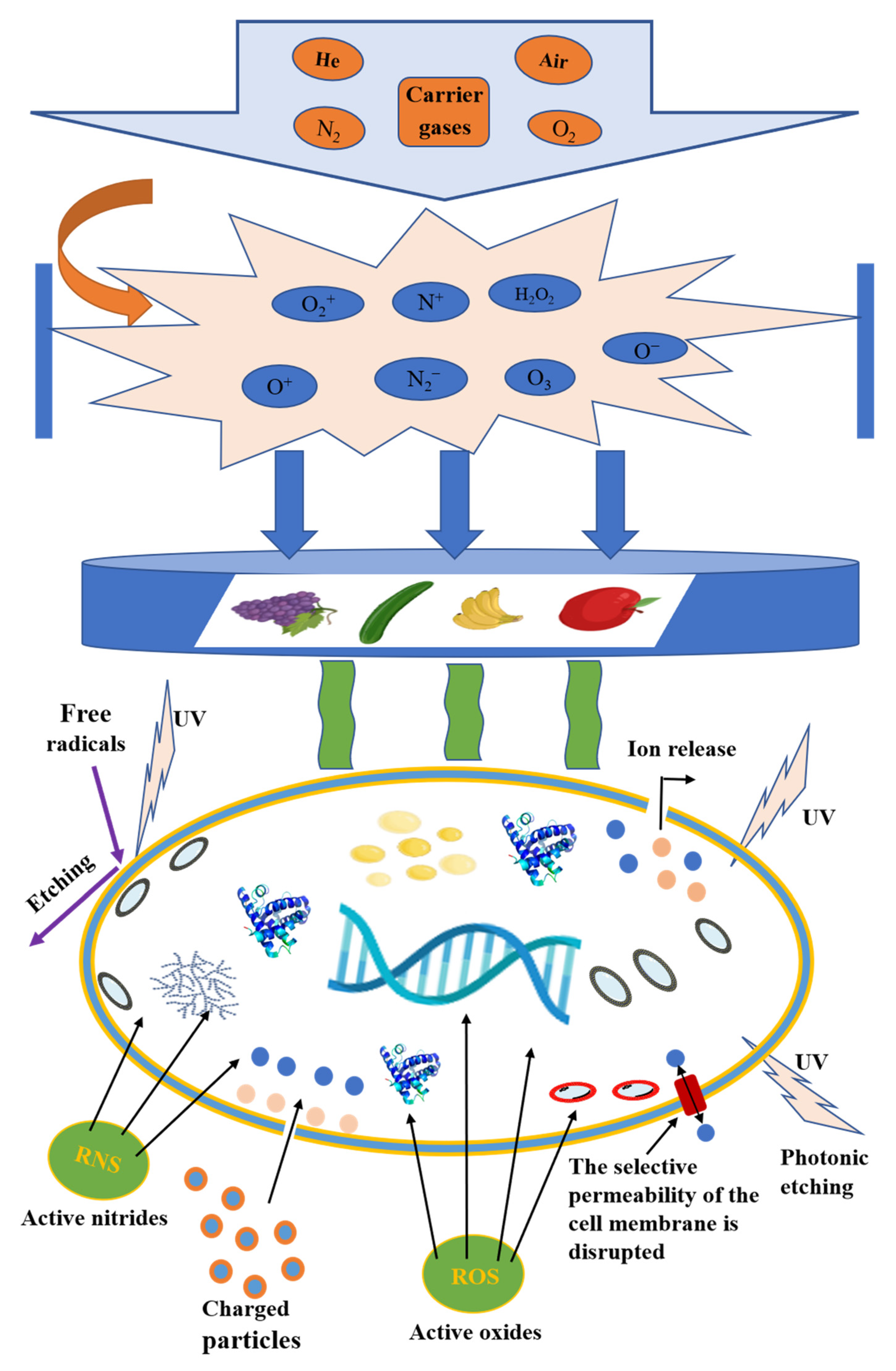 Foods 11 02818 g001 550