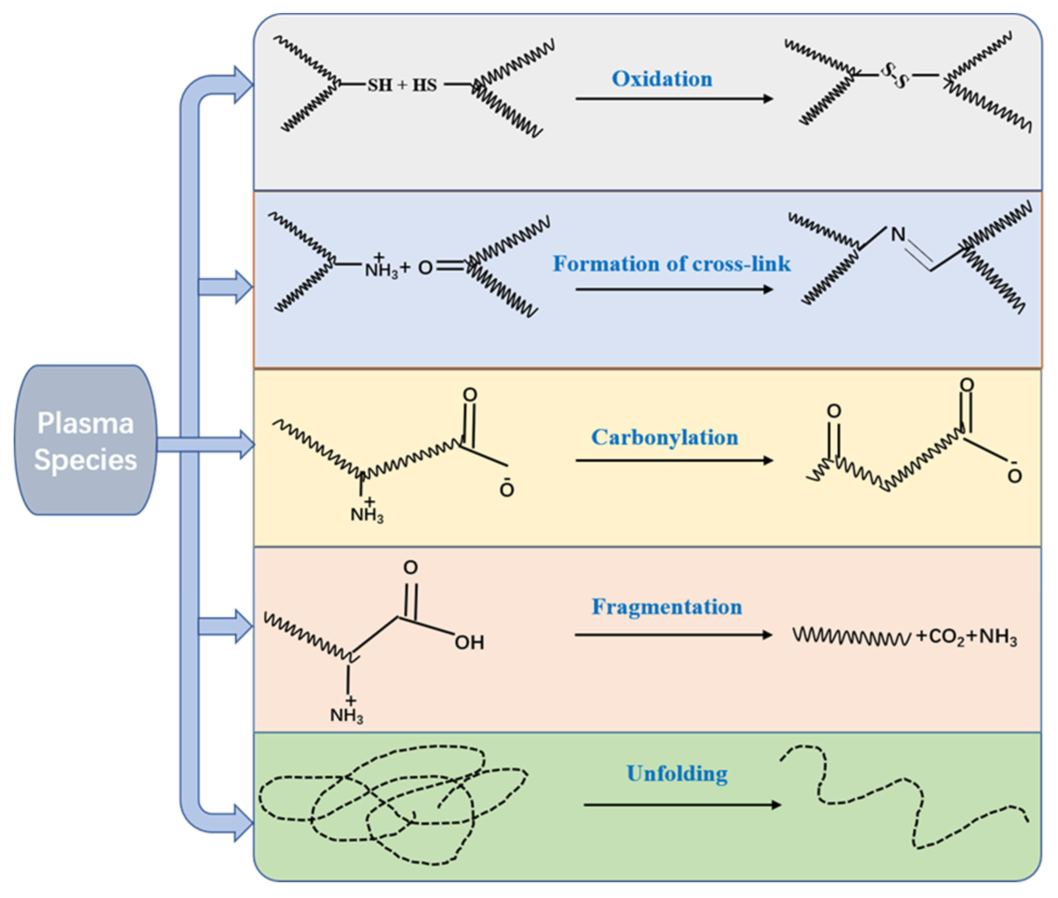 Foods 11 02818 g003 550