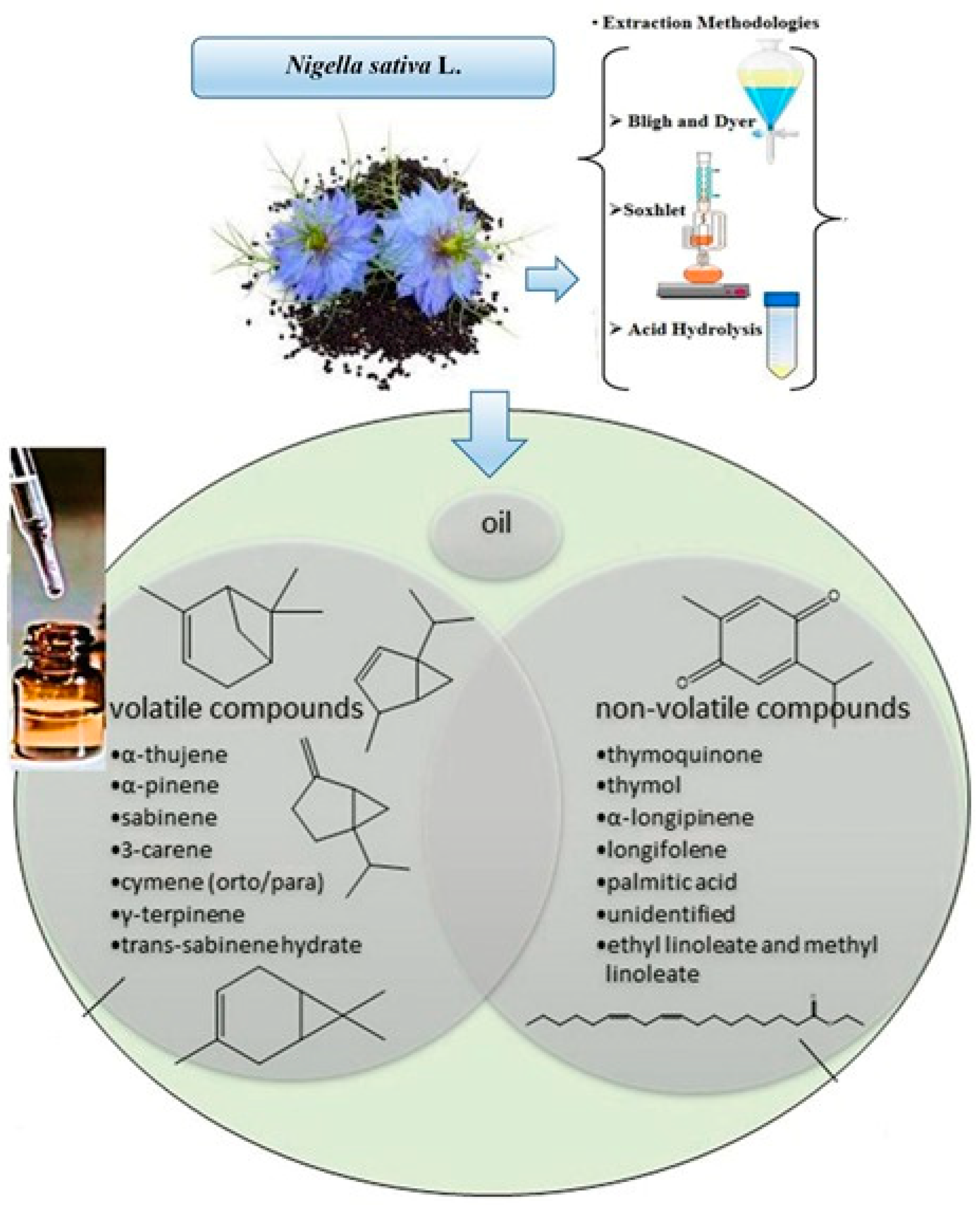 Foods 11 02826 g001 Foods 11 02826 g001