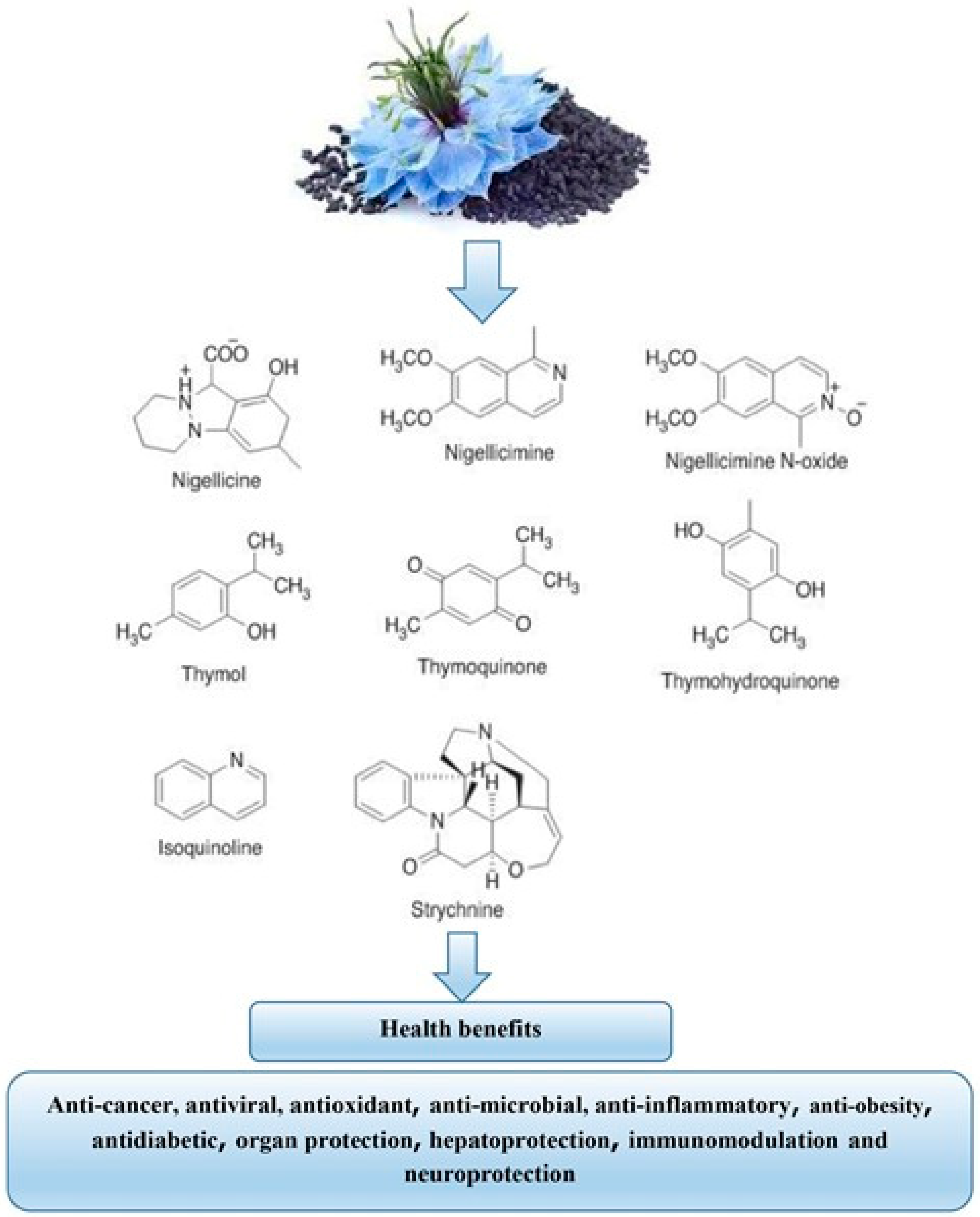 Foods 11 02826 g002 Foods 11 02826 g002