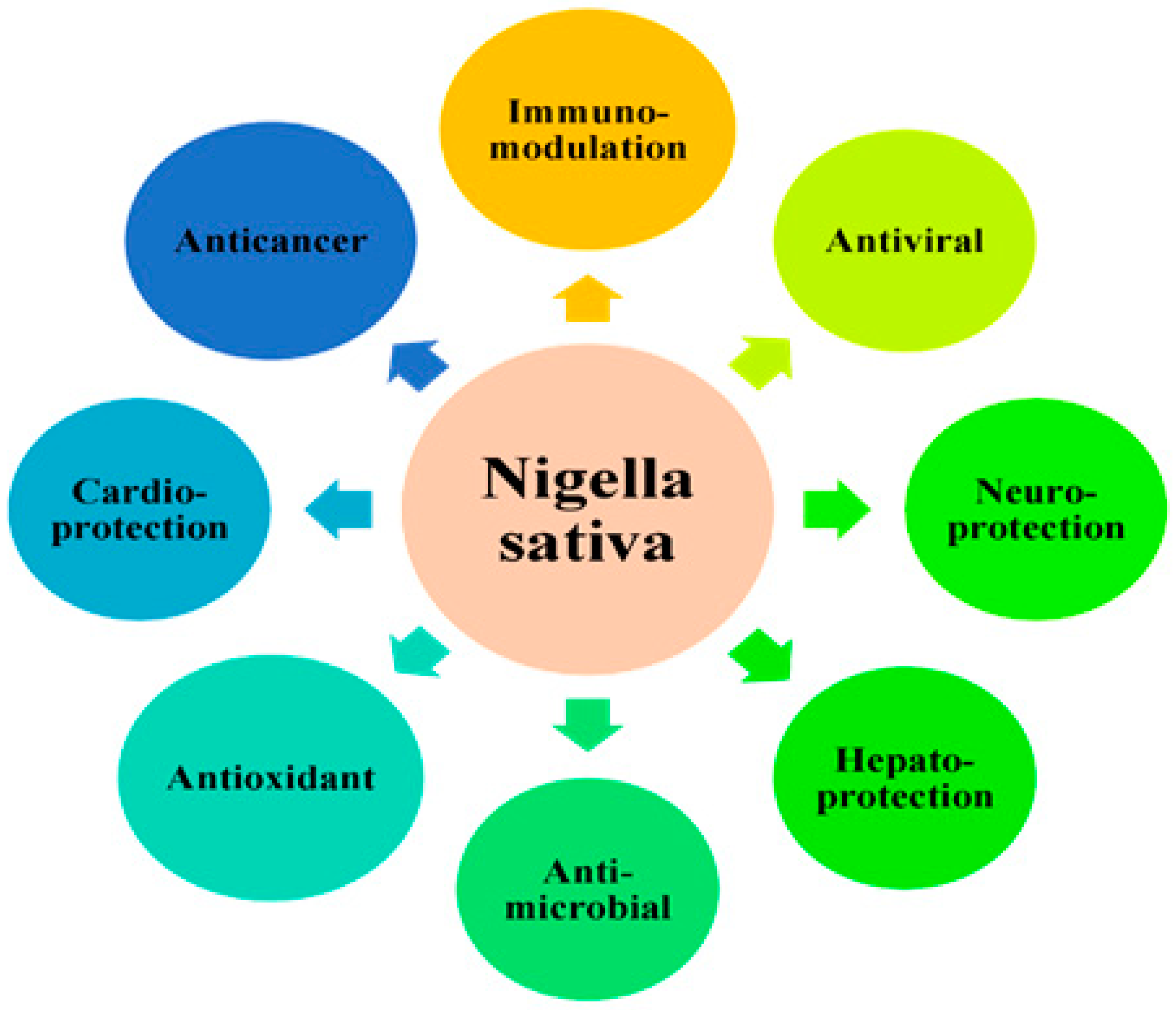 Foods 11 02826 g003 Foods 11 02826 g003