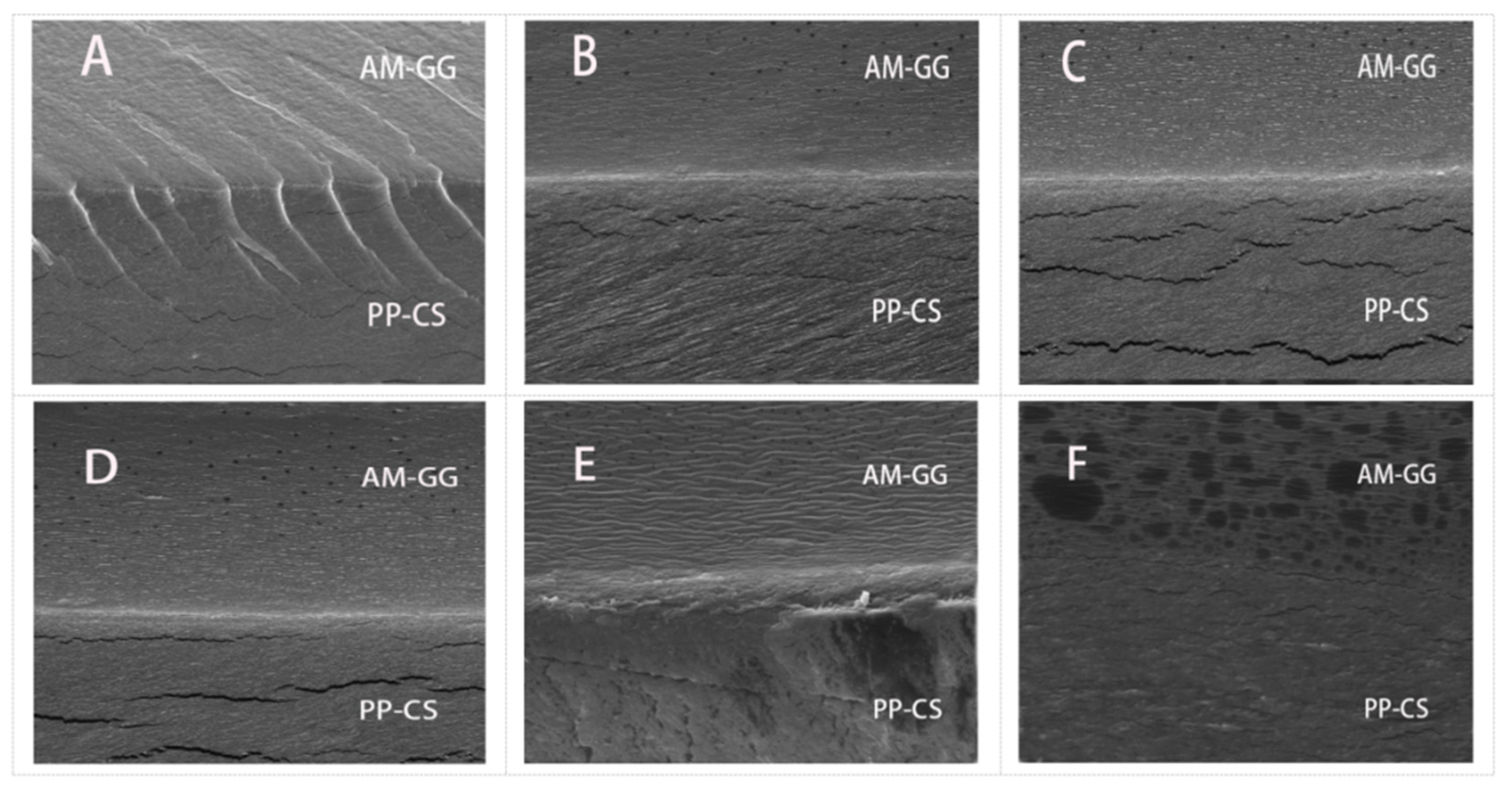 Foods 11 02835 g002 550