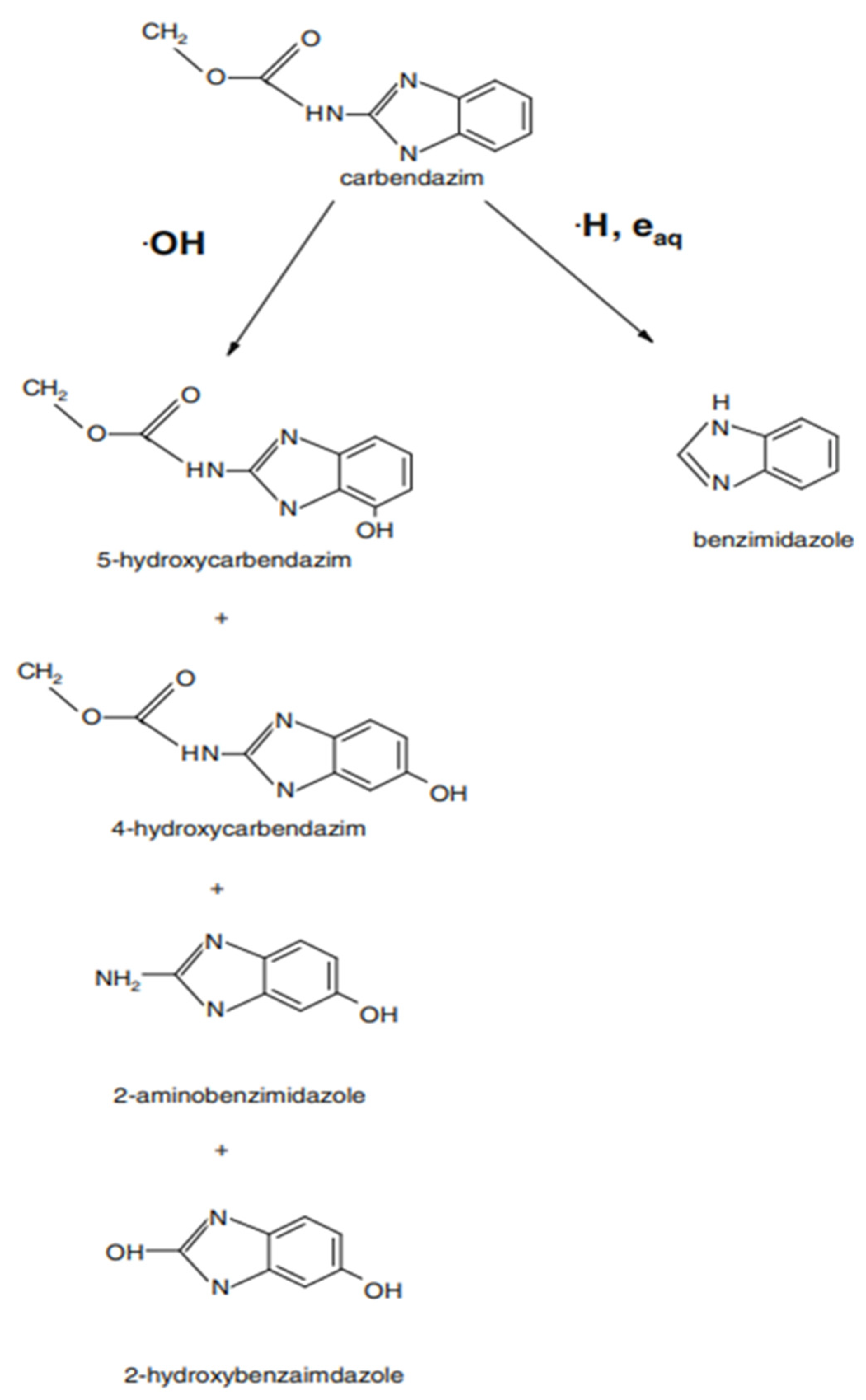 Foods 11 02859 g003 Foods 11 02859 g003