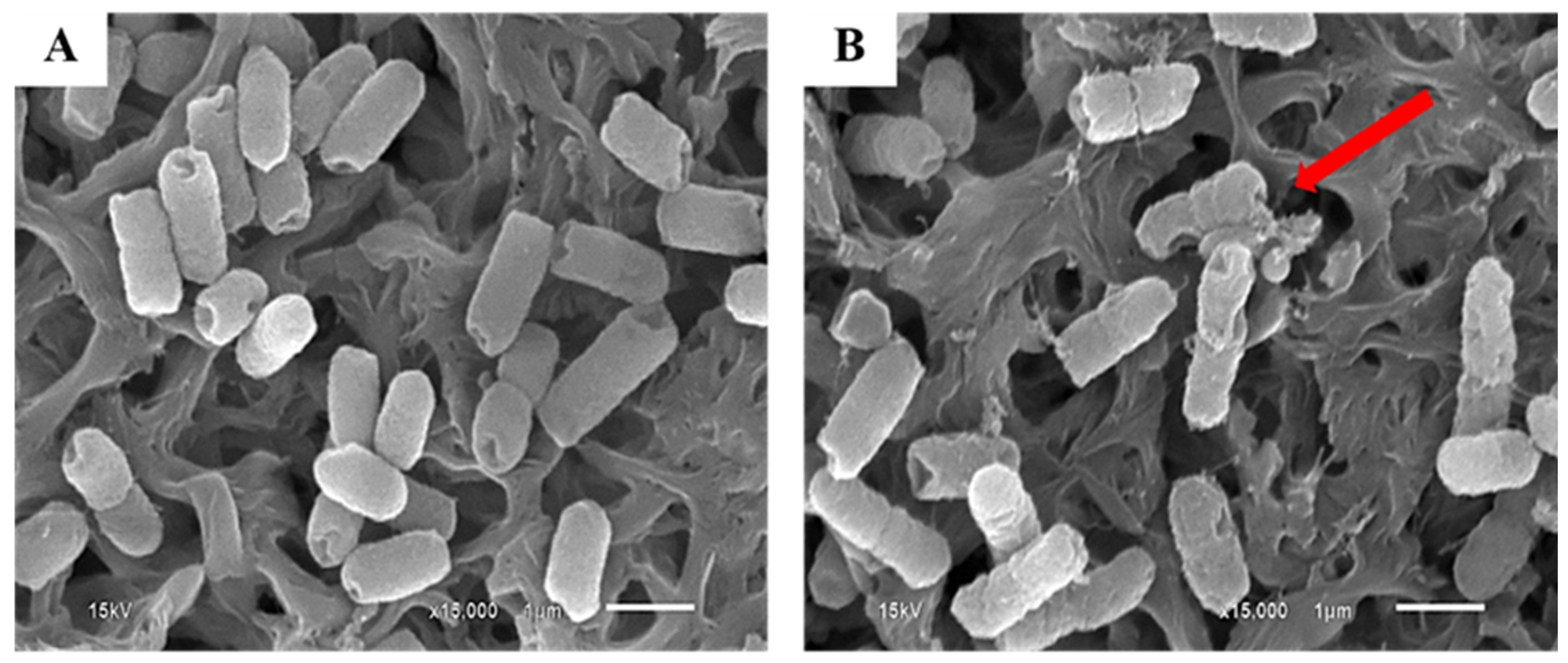 Foods 11 02859 g007 Foods 11 02859 g007
