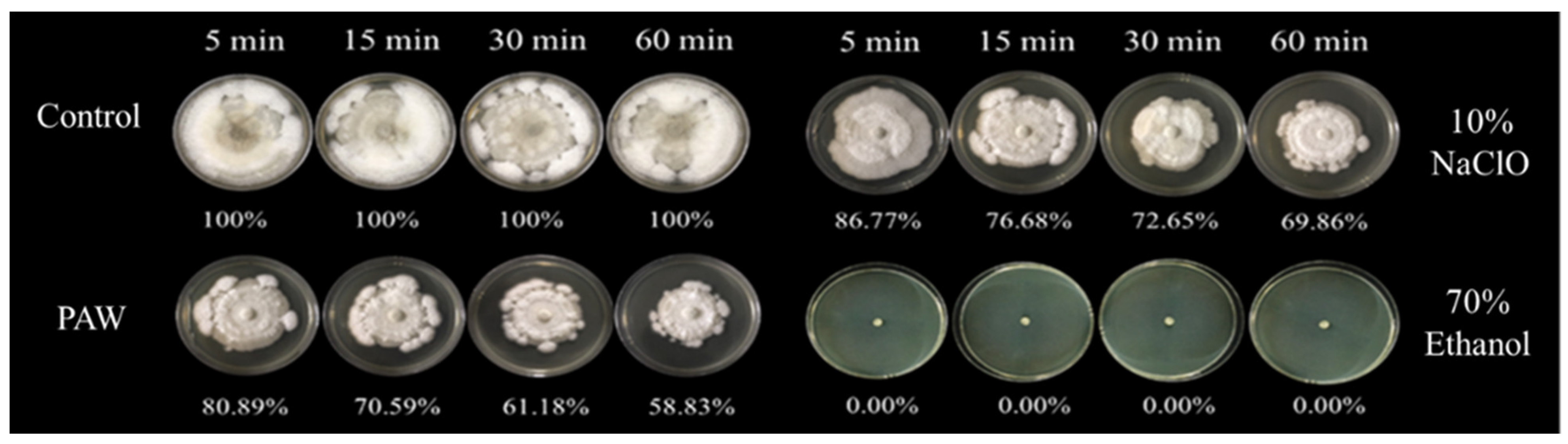 Foods 11 02859 g009 Foods 11 02859 g009