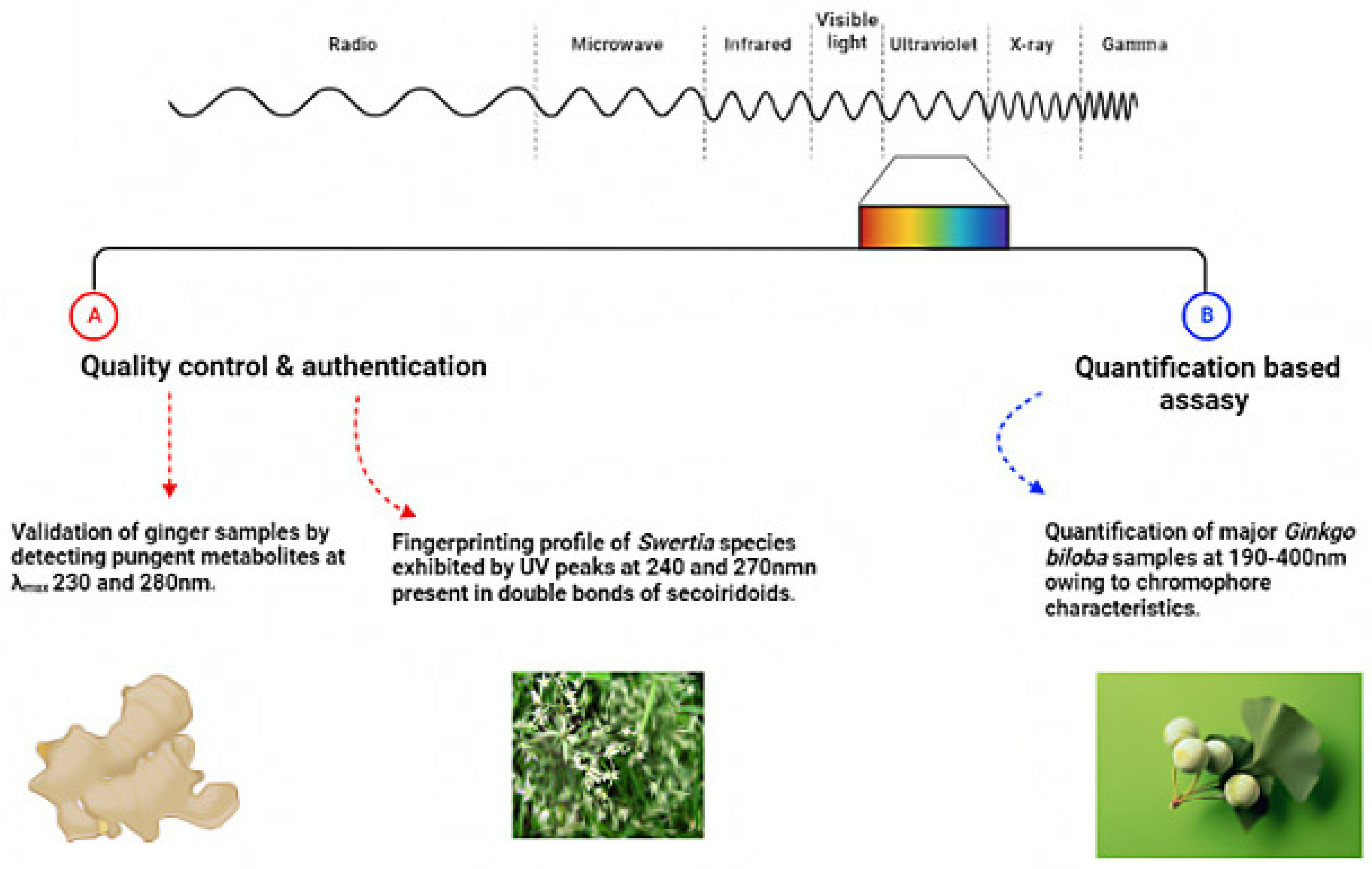 Foods 11 02867 g003 Foods 11 02867 g003