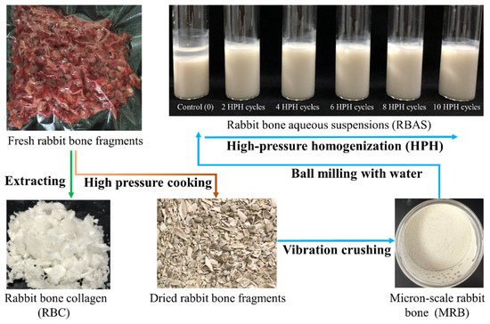 Protective Effects of Four Natural Antioxidants on Hydroxyl