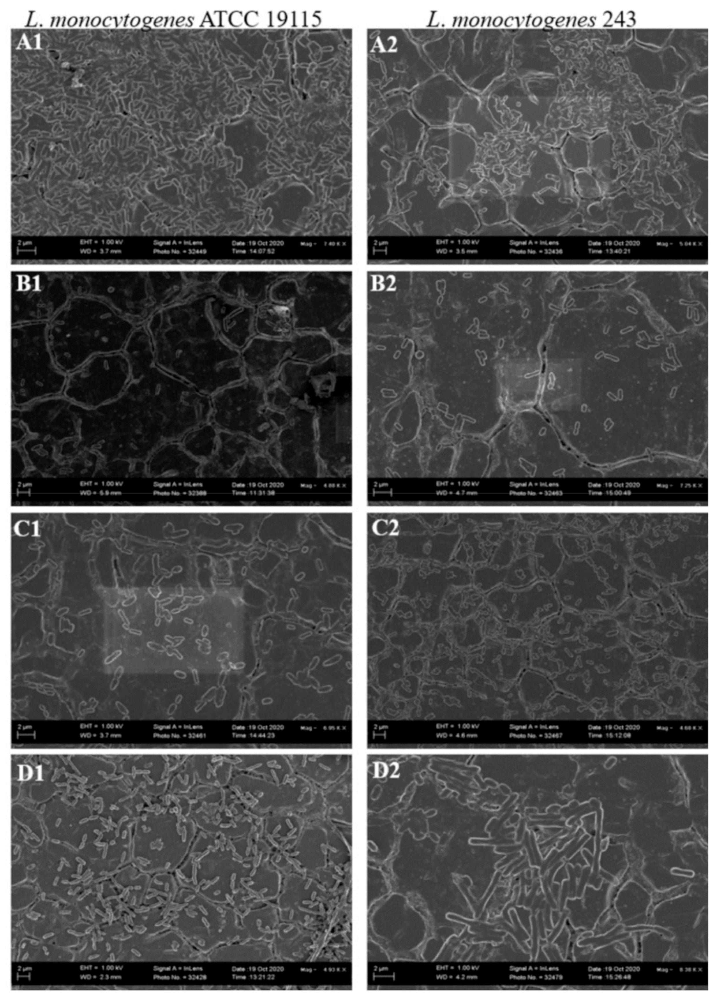 Foods 11 02872 g004 Foods 11 02872 g004