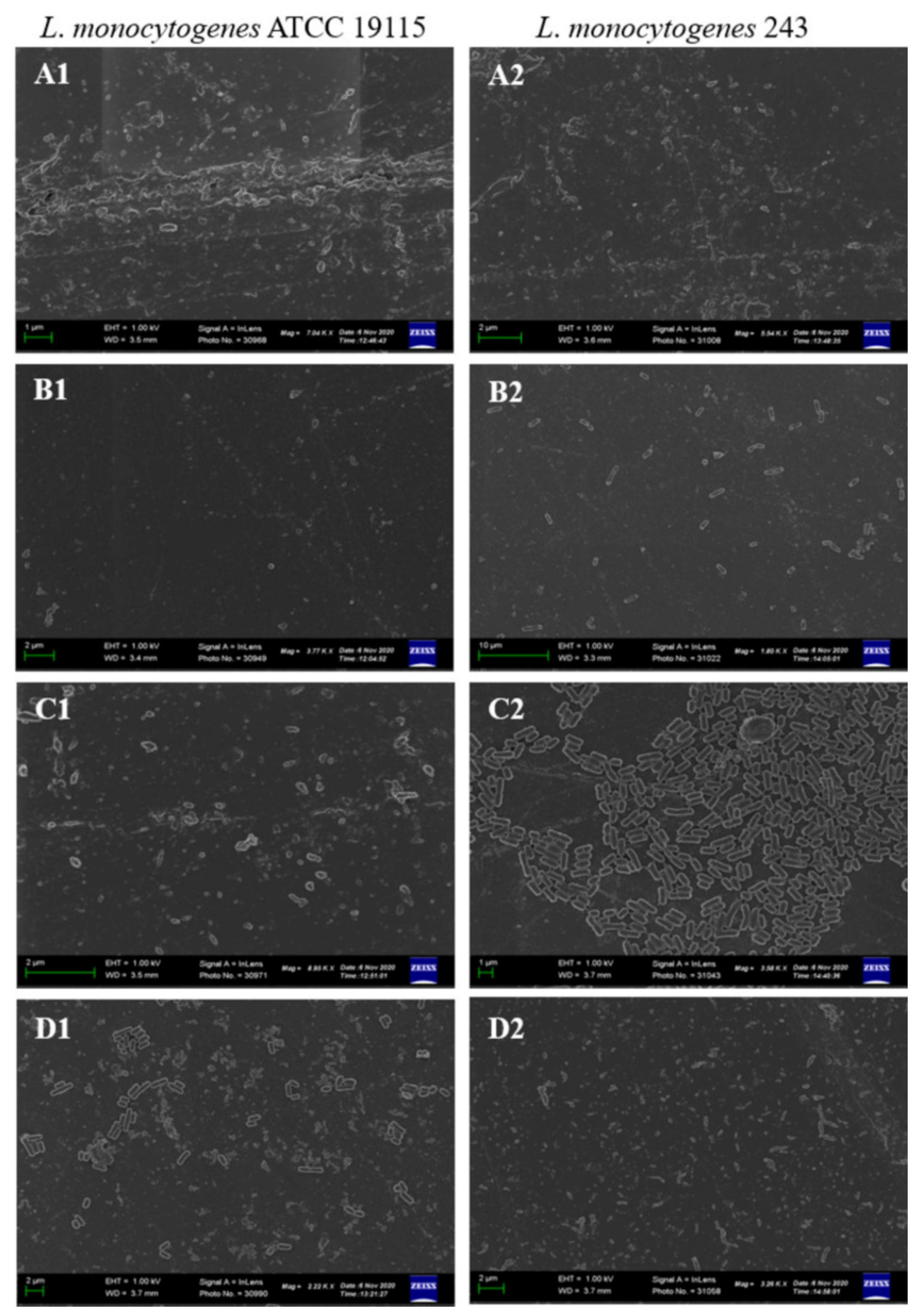 Foods 11 02872 g005 Foods 11 02872 g005