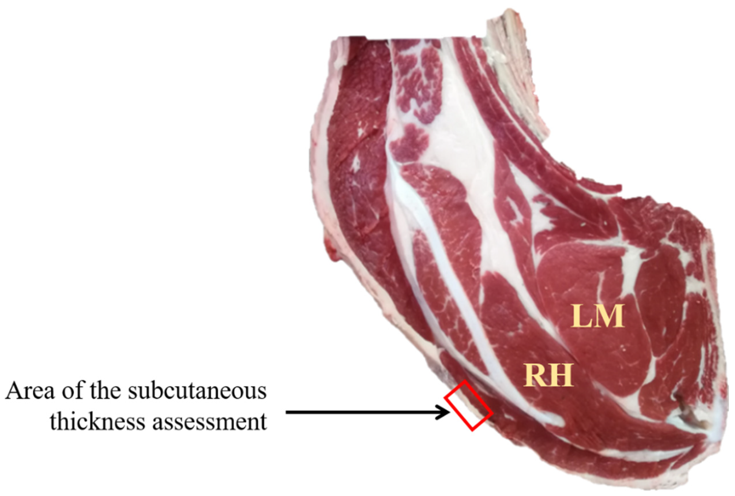 Effects of rearing management applied throughout the charolais young