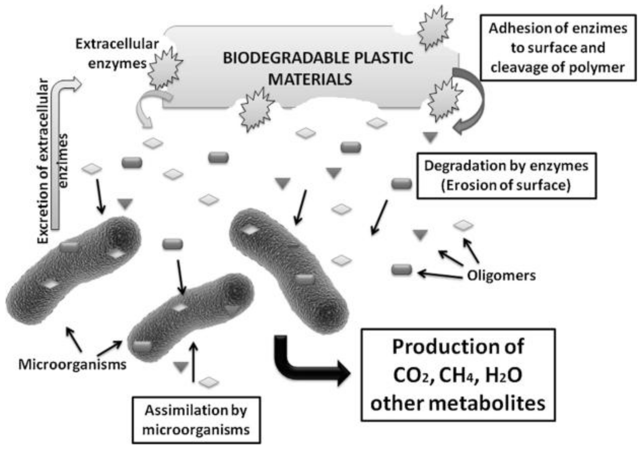 Foods 11 02879 g001 Foods 11 02879 g001