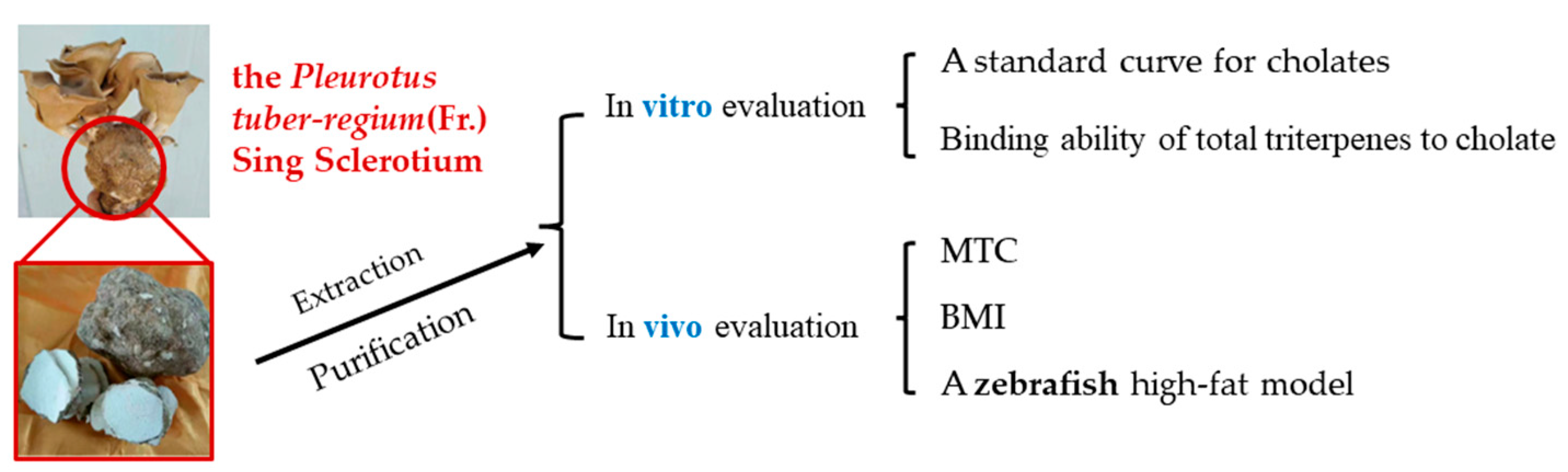 Foods 11 02881 sch001