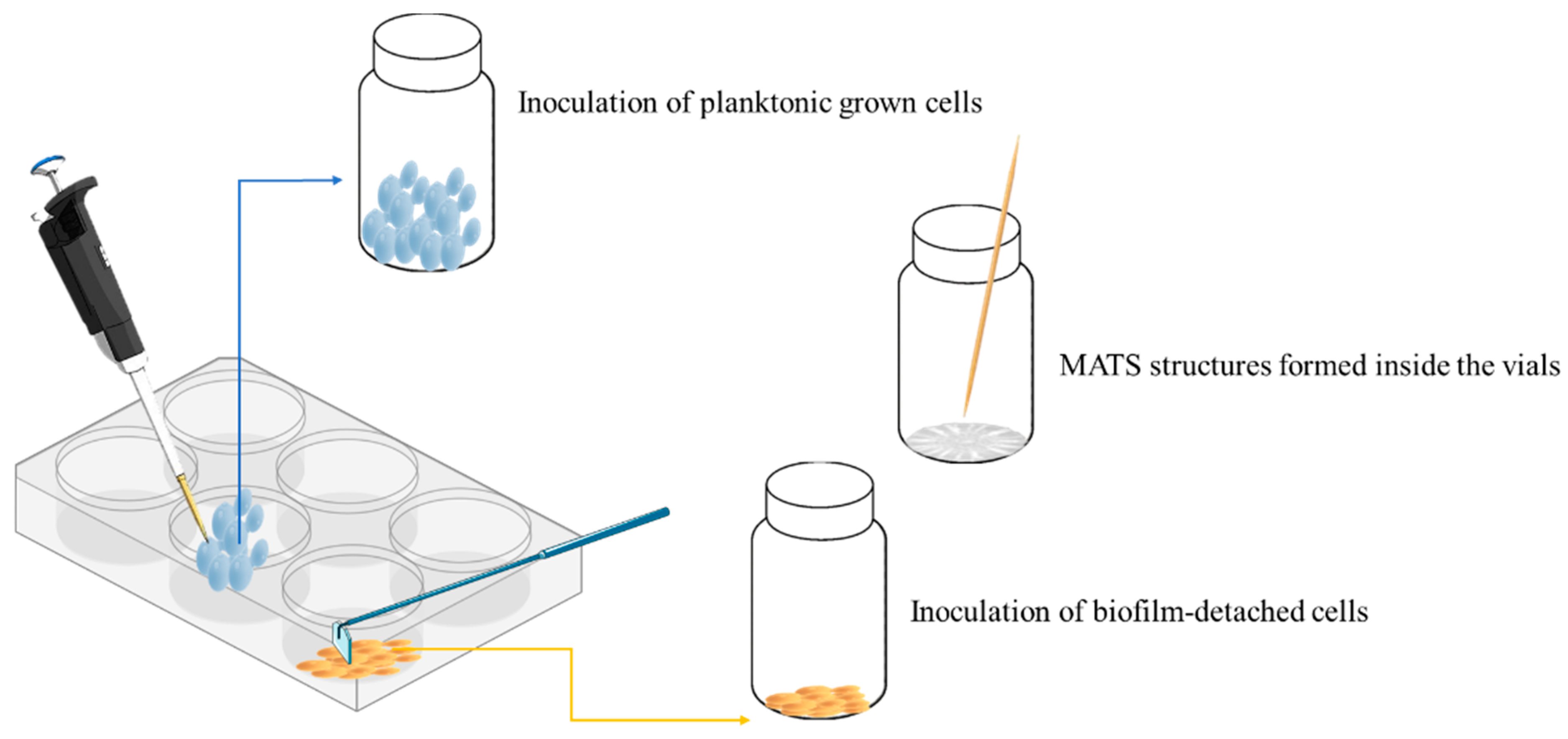 Foods 11 02910 g001 Foods 11 02910 g001