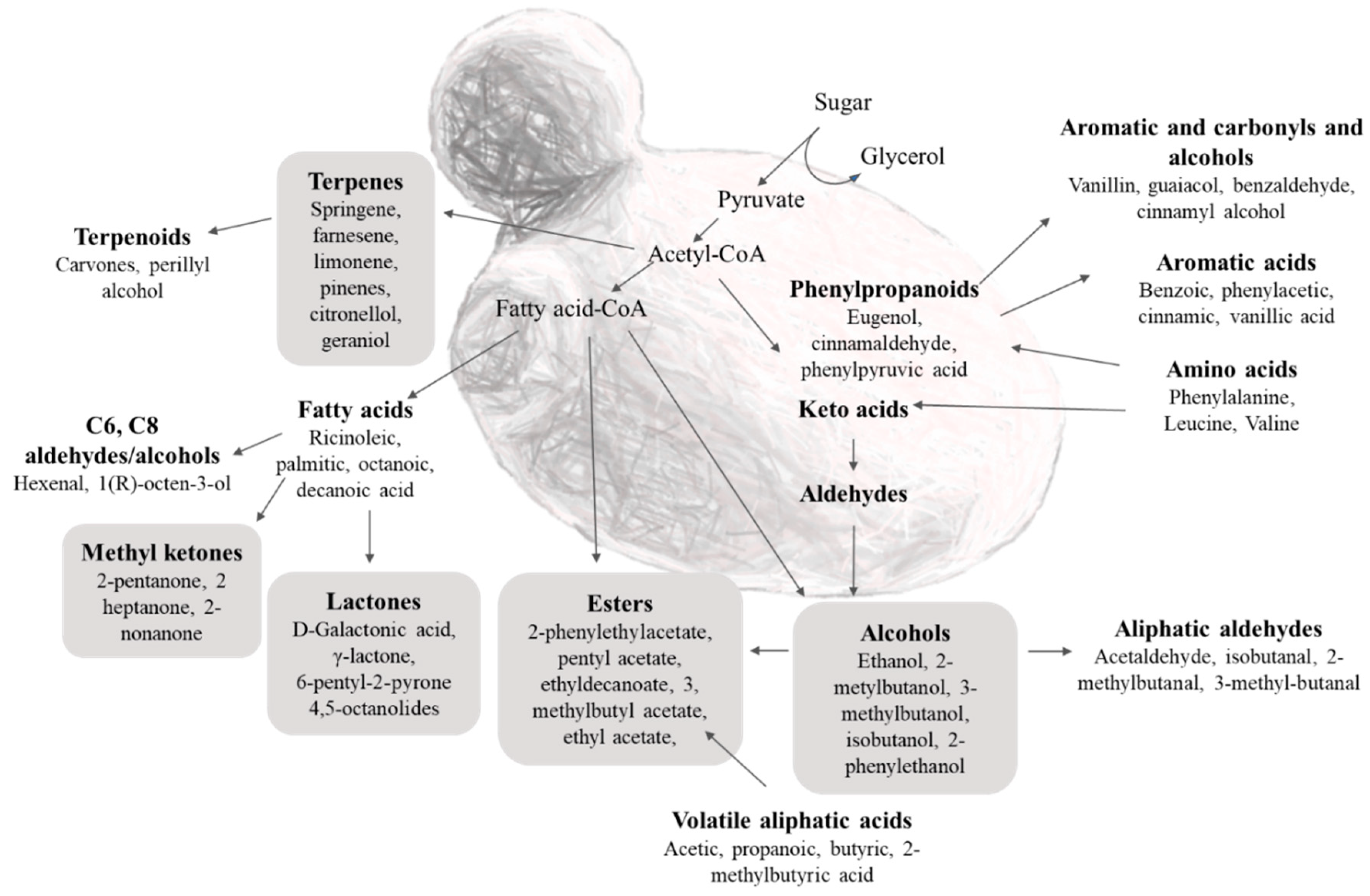 Foods 11 02910 g002 Foods 11 02910 g002