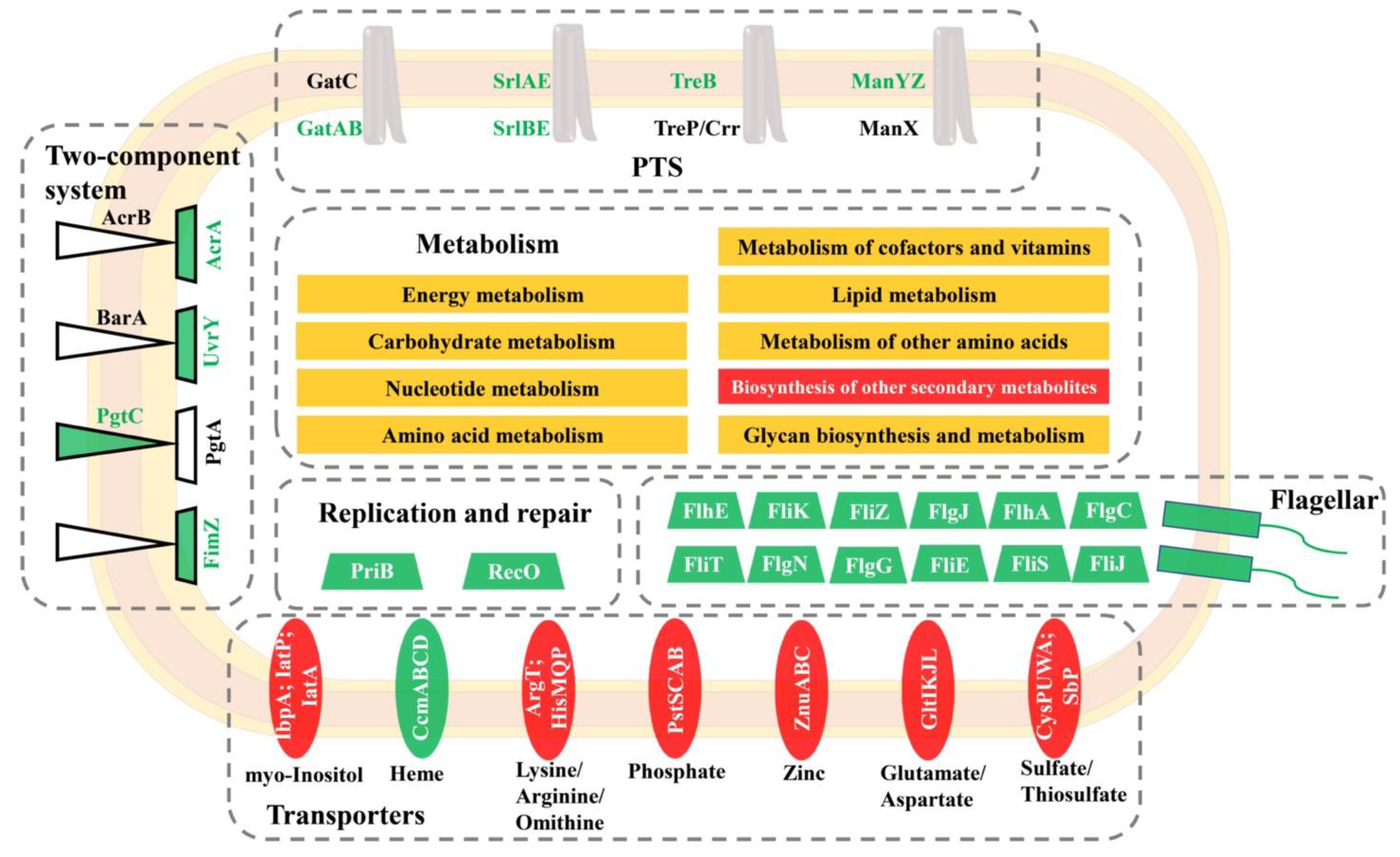 Foods 11 02912 g005 Foods 11 02912 g005