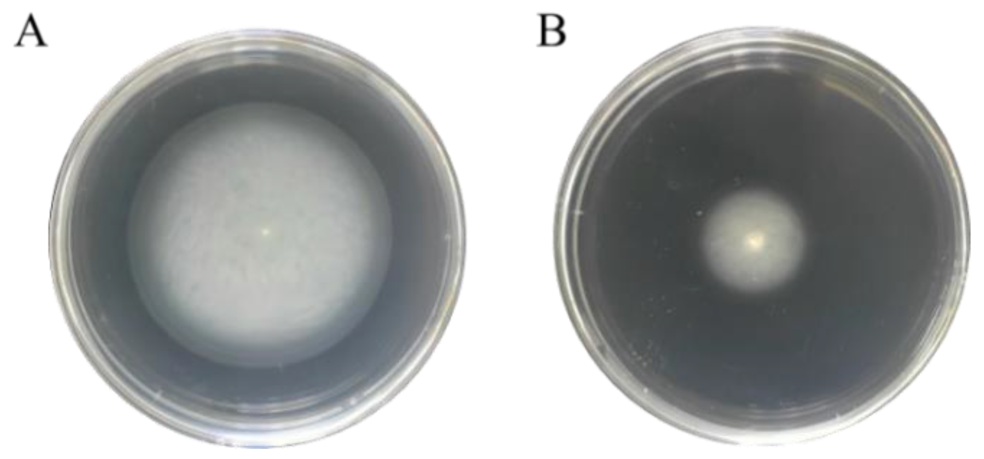 Foods 11 02912 g007 Foods 11 02912 g007