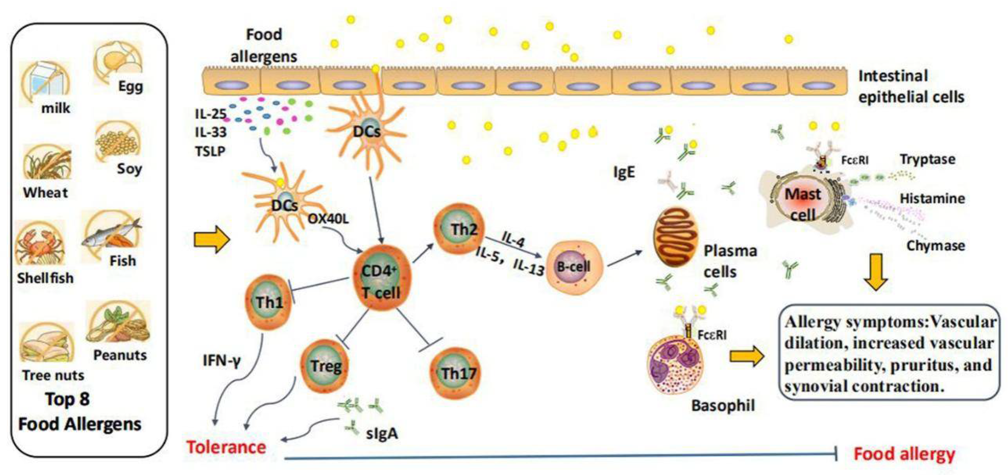 Foods 11 02913 g001 Foods 11 02913 g001