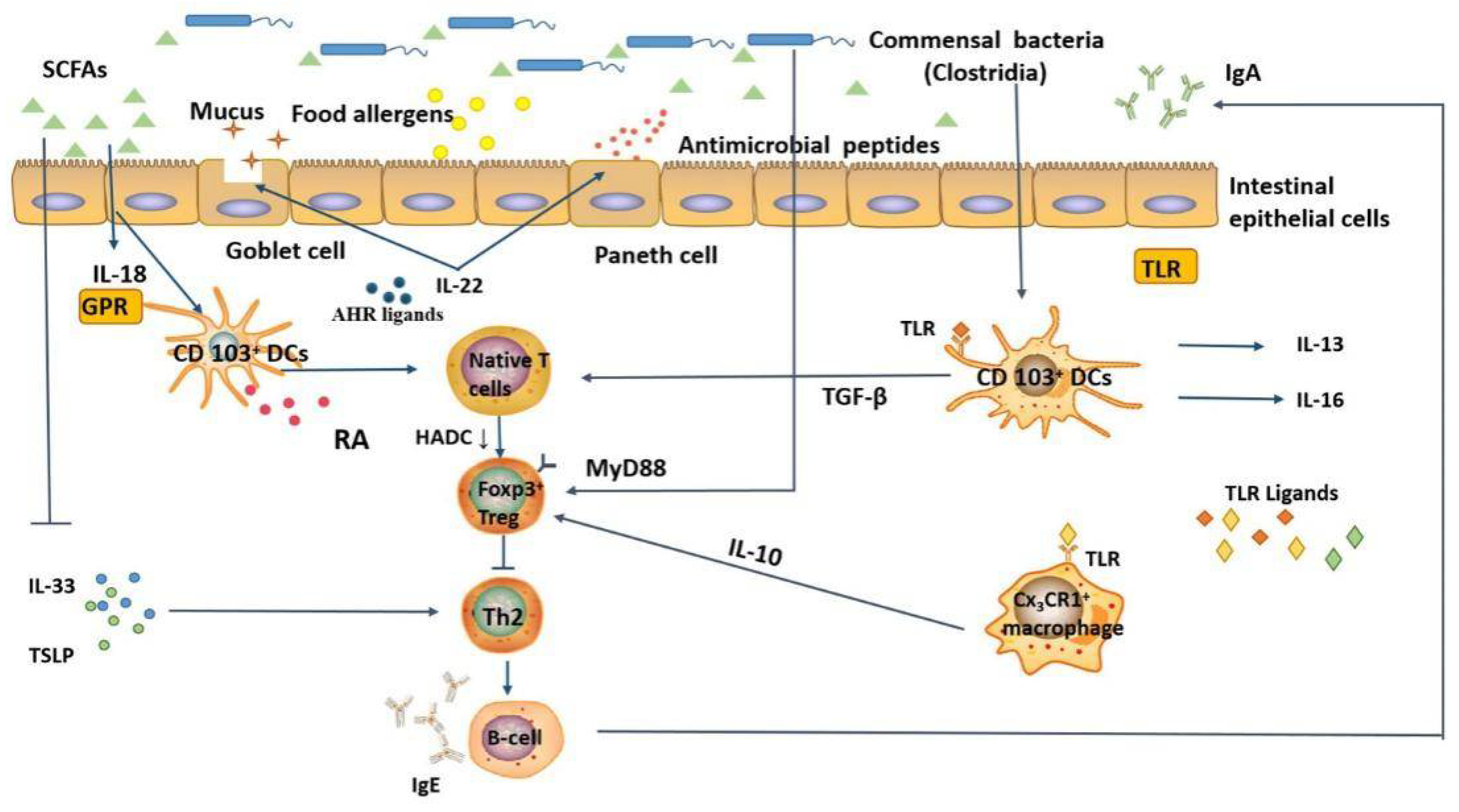 Foods 11 02913 g002 Foods 11 02913 g002