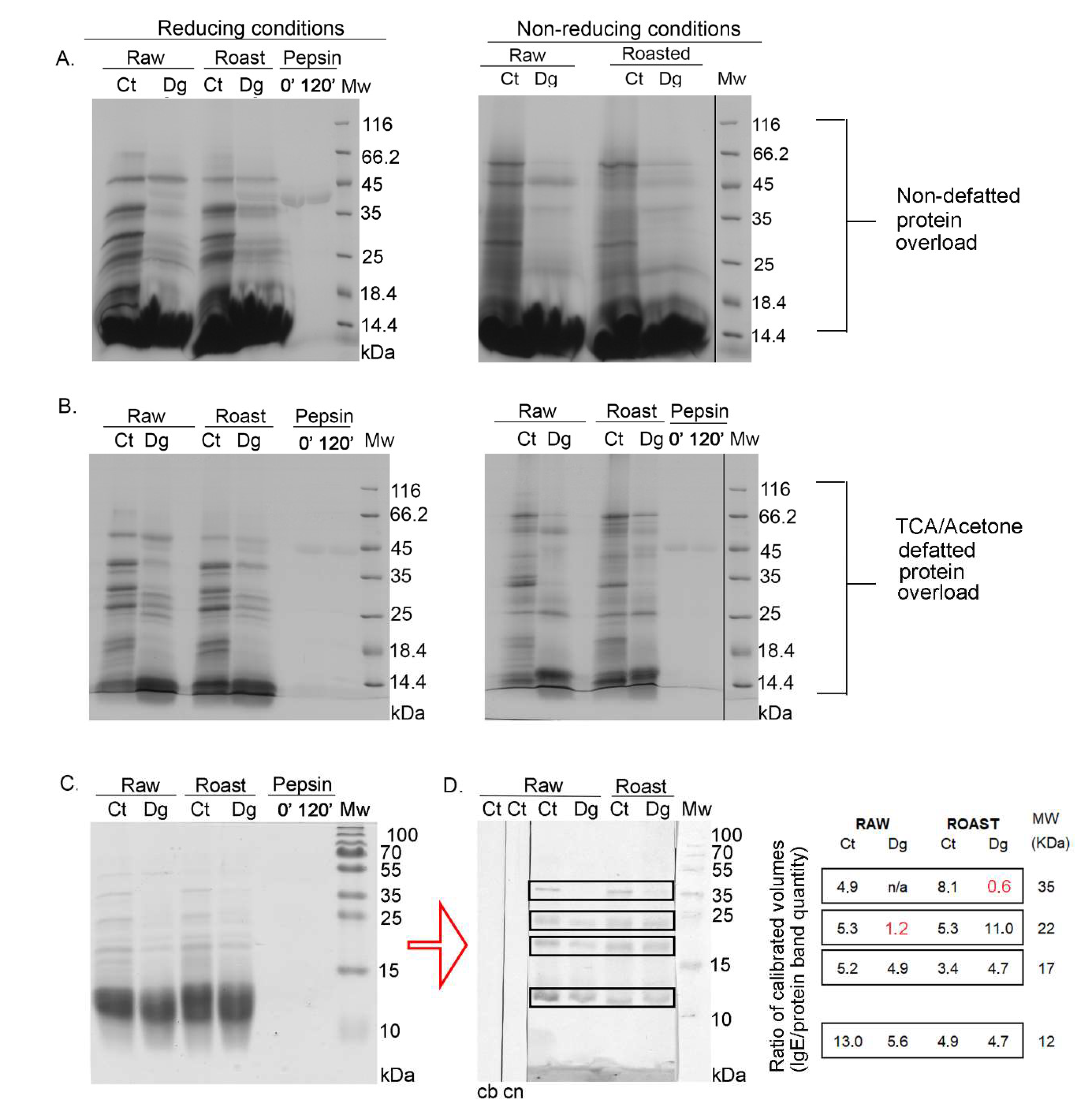 Foods 11 02914 g001 Foods 11 02914 g001