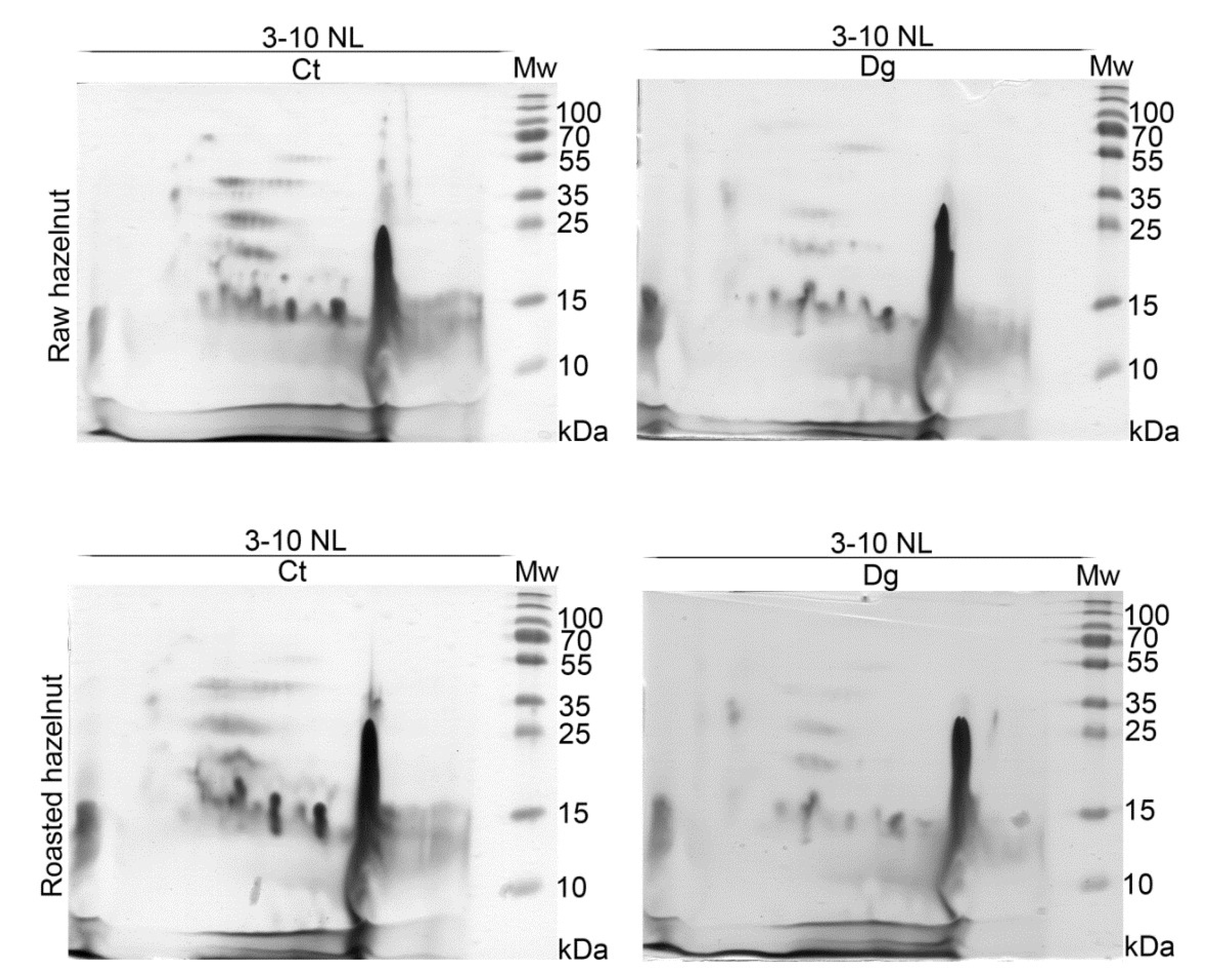 Foods 11 02914 g002 Foods 11 02914 g002