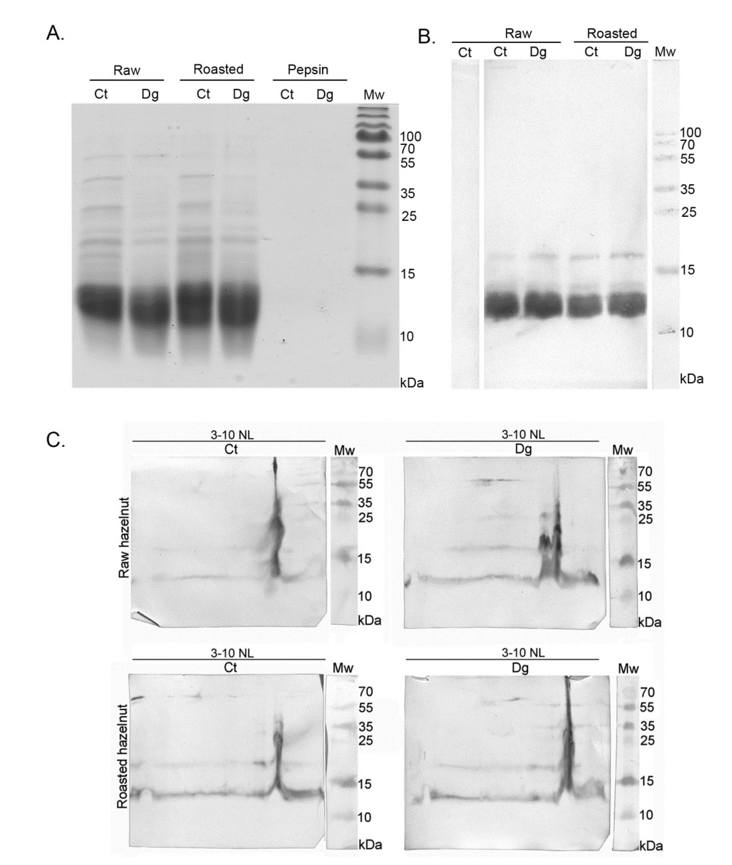 Foods 11 02914 g006 Foods 11 02914 g006