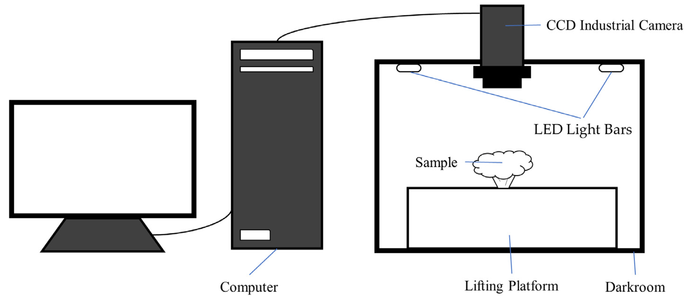Foods 11 02915 g001 550
