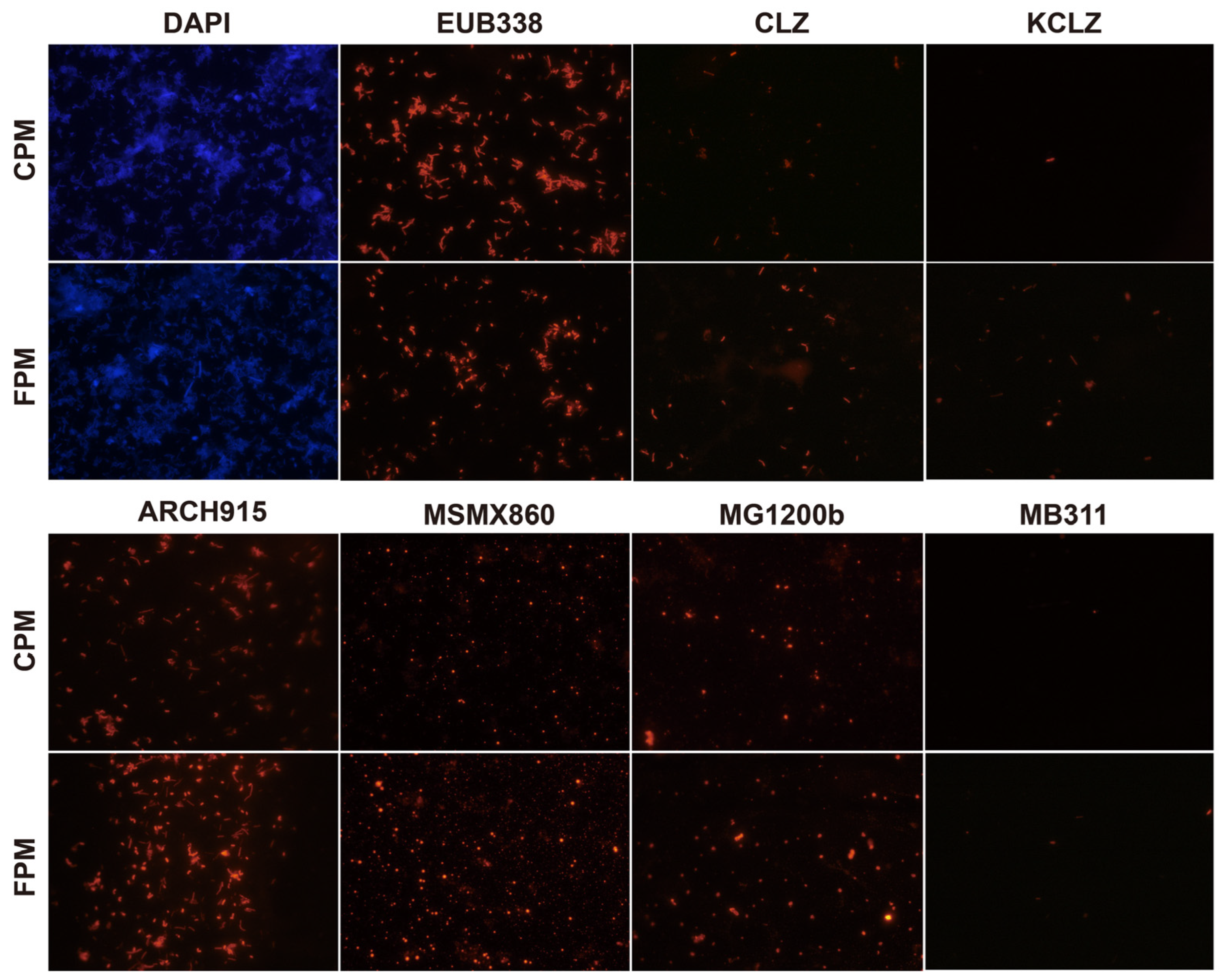 Foods 11 02922 g001 550