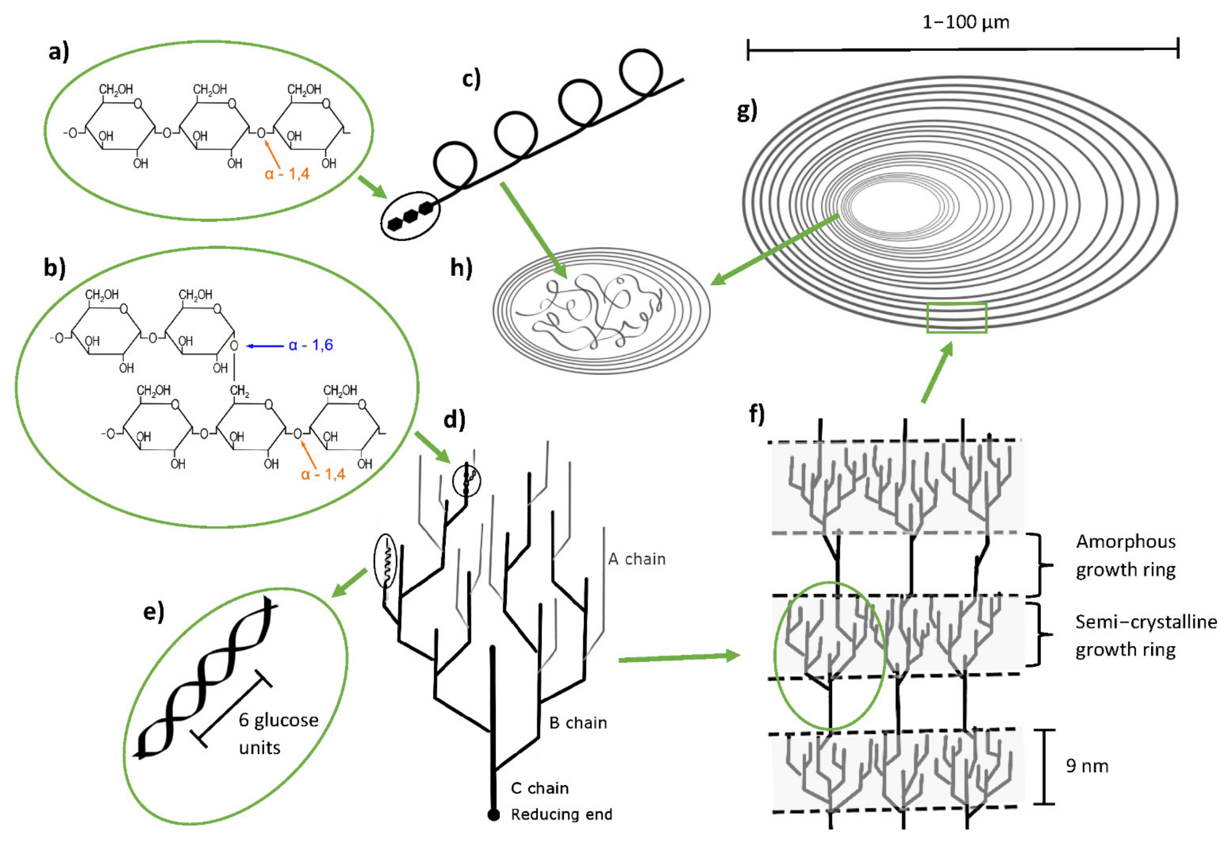 Foods 11 02927 g003 Foods 11 02927 g003