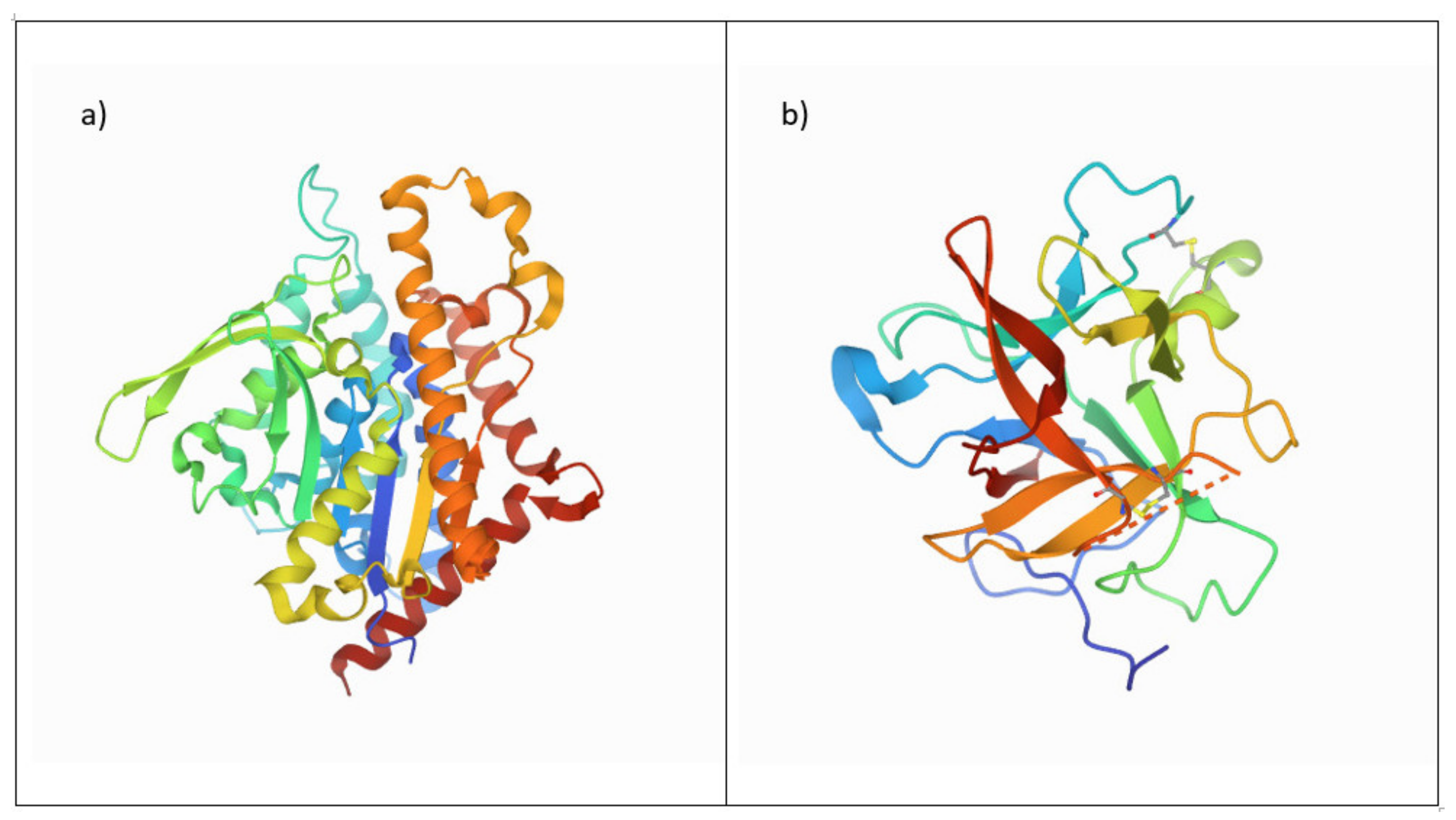 Foods 11 02927 g004 Foods 11 02927 g004