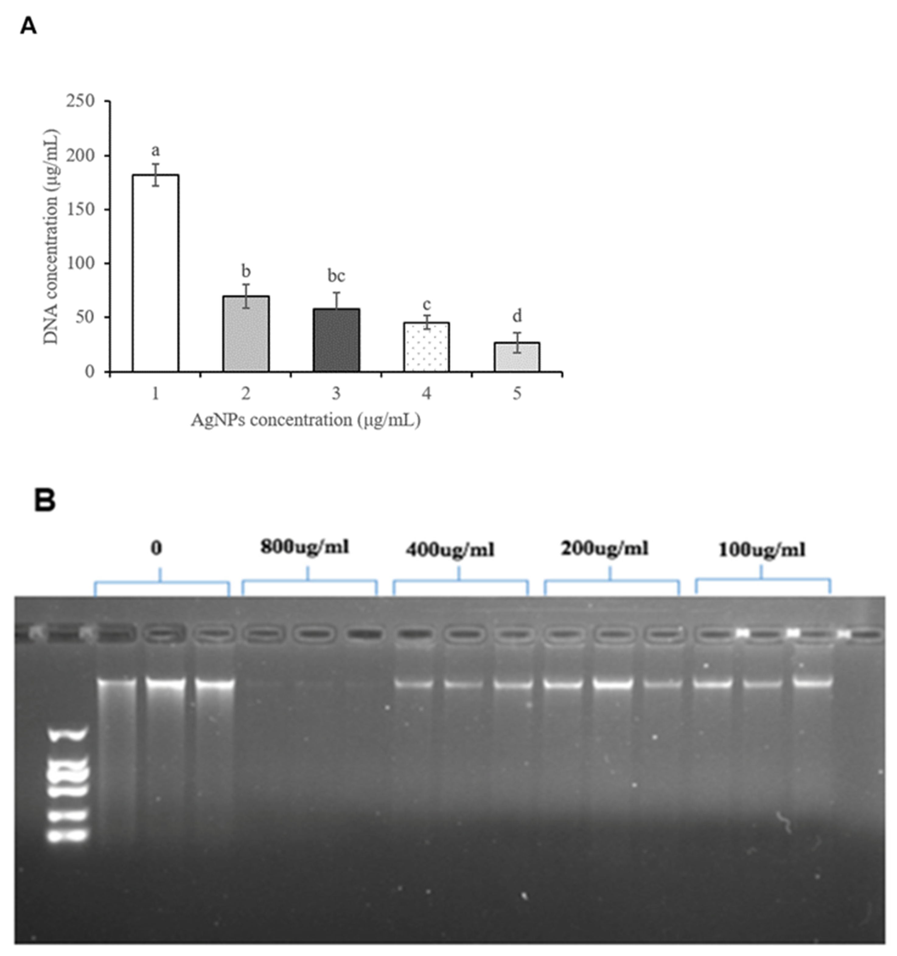 Foods 11 02934 g004 550