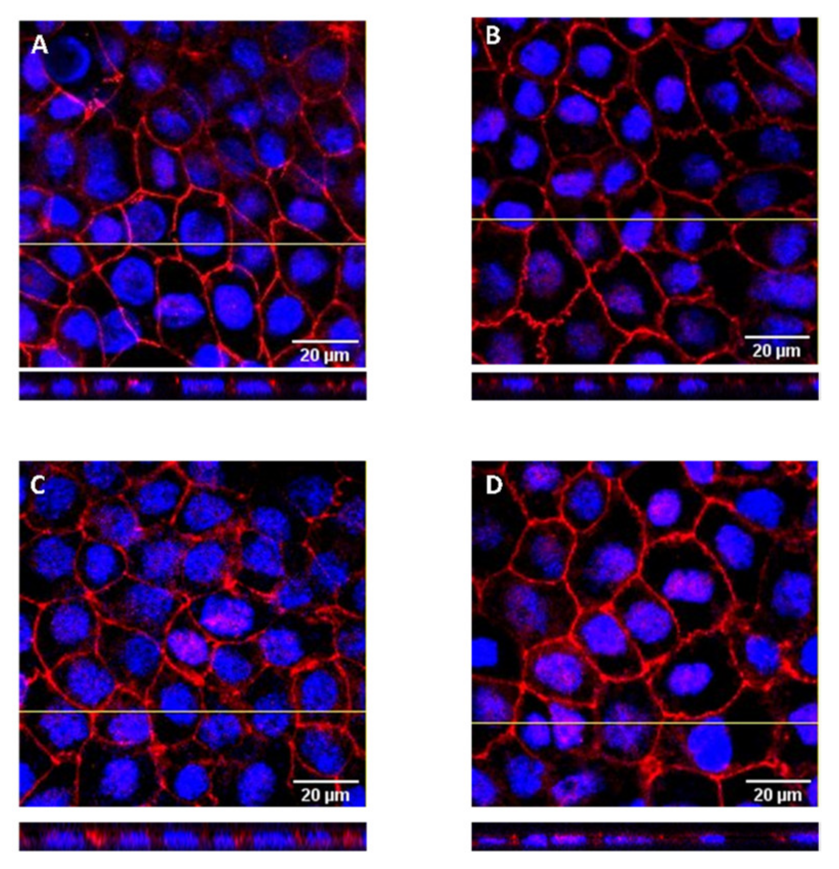 Foods 11 02935 g003 Foods 11 02935 g003