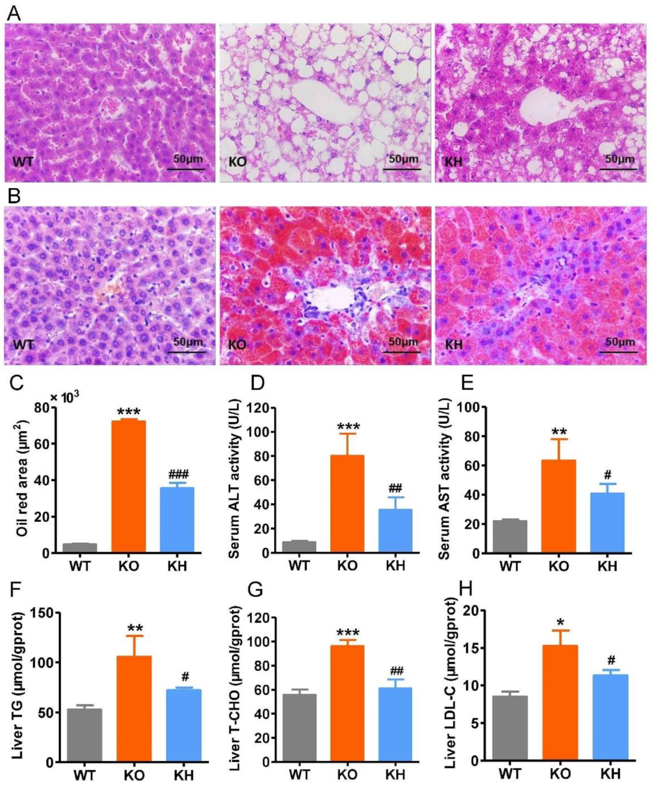 Foods 11 02939 g003 Foods 11 02939 g003
