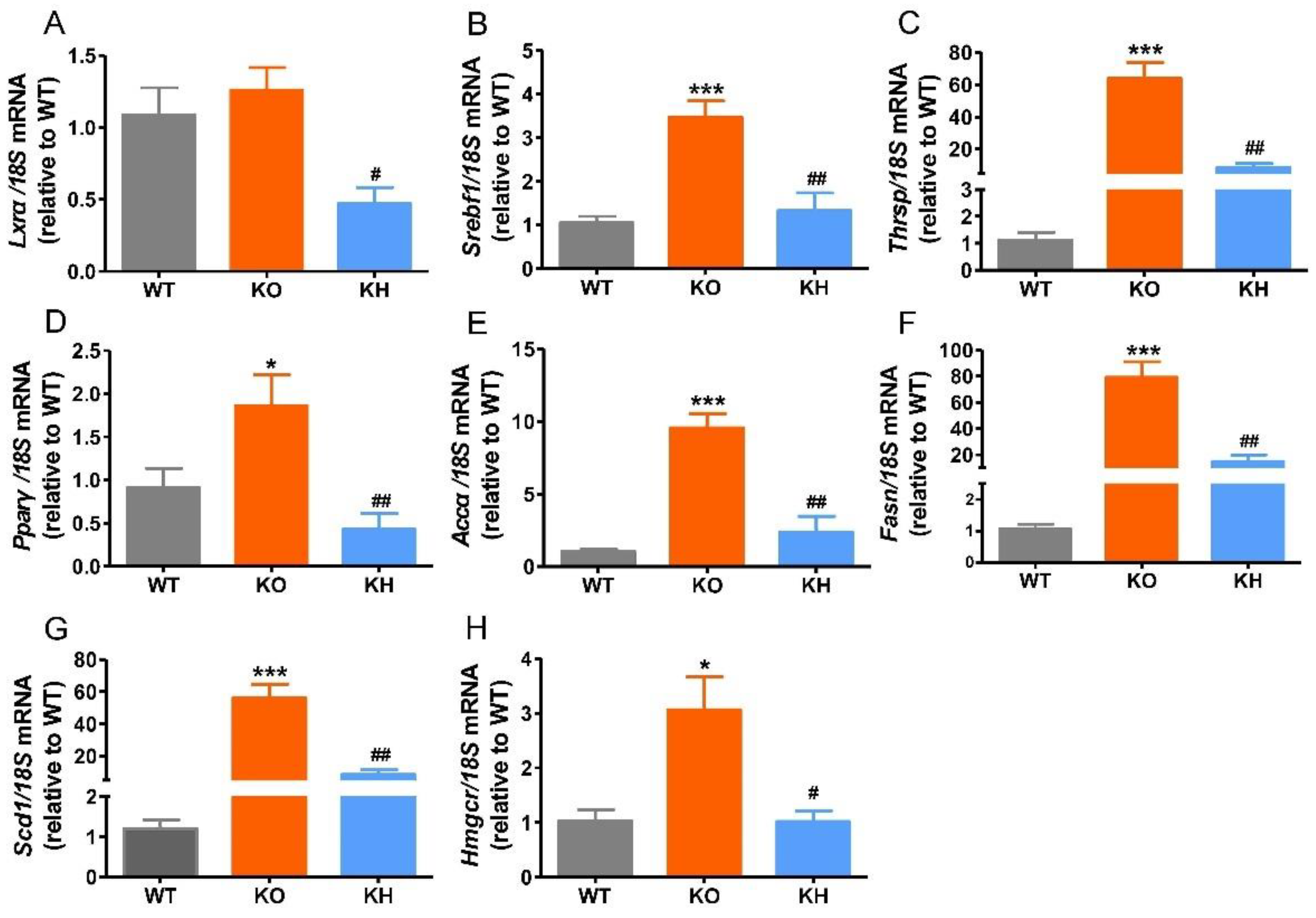 Foods 11 02939 g004 Foods 11 02939 g004