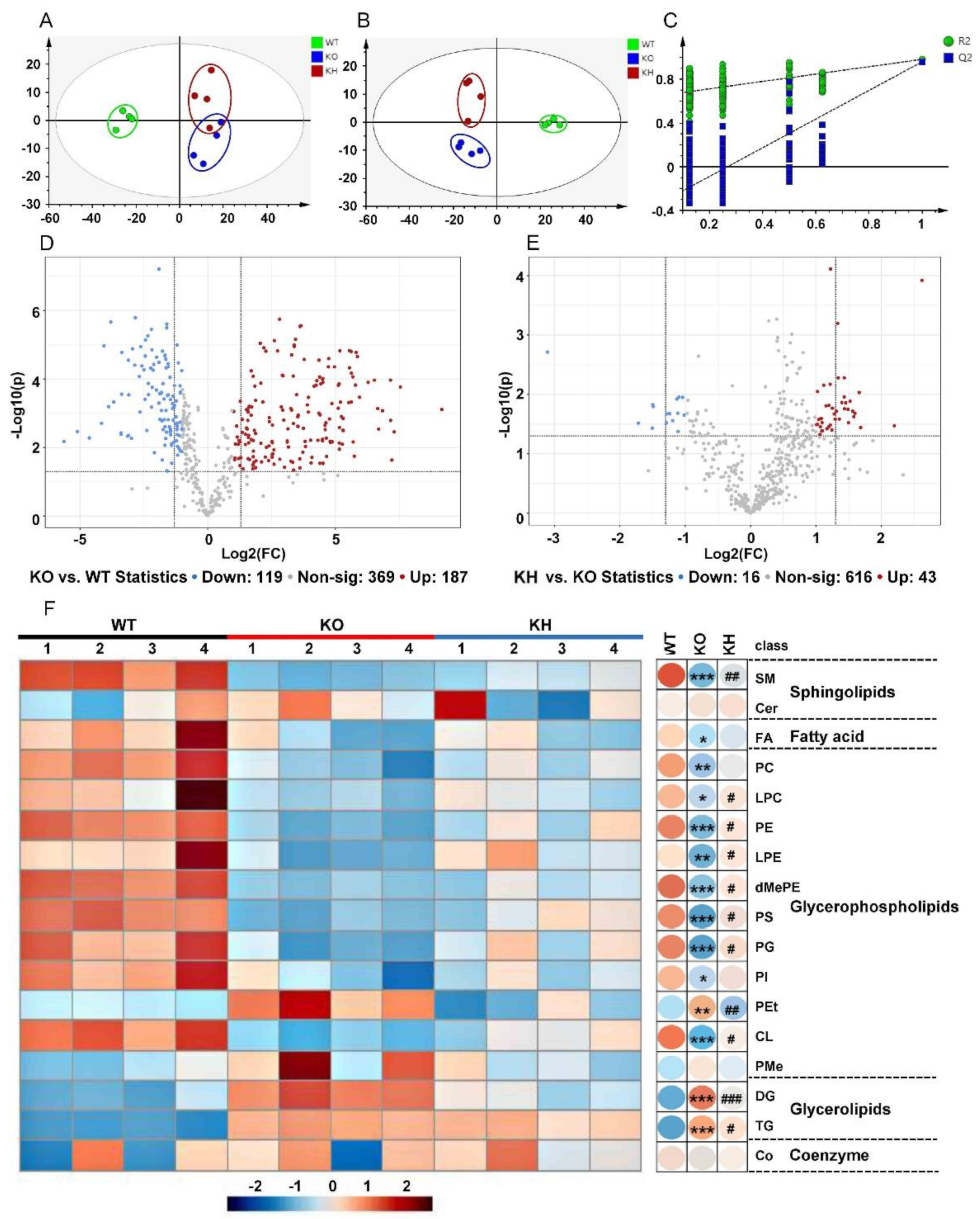 Foods 11 02939 g005 Foods 11 02939 g005
