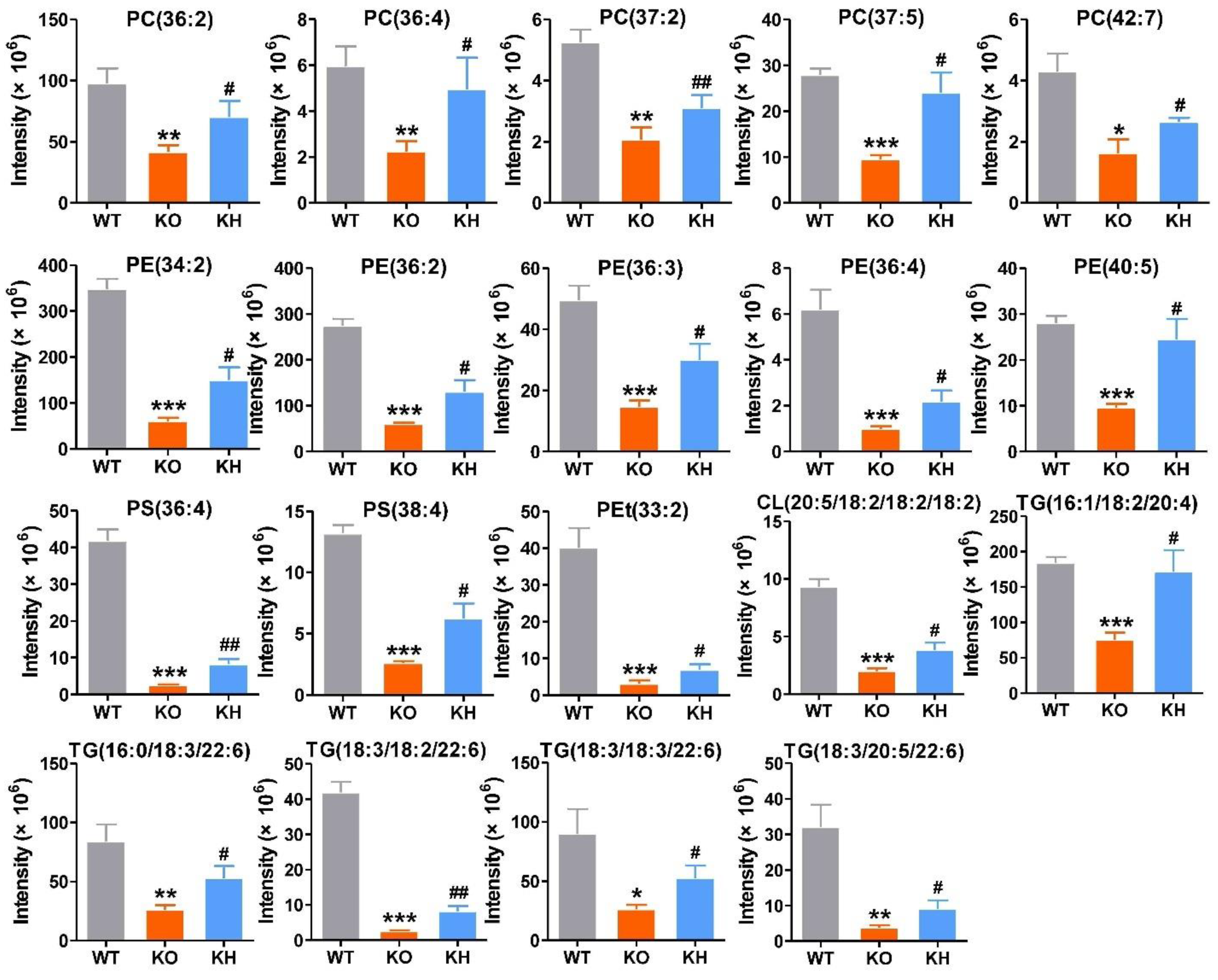 Foods 11 02939 g006 Foods 11 02939 g006