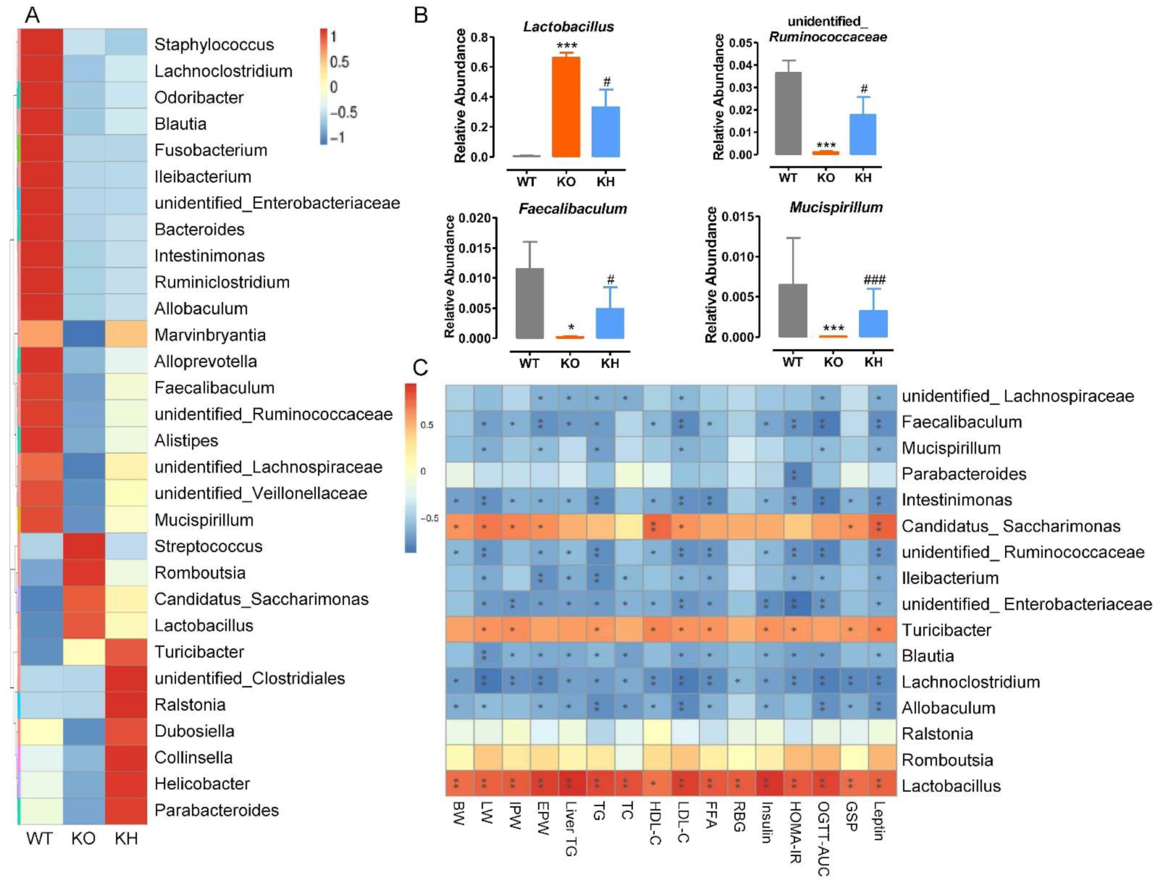 Foods 11 02939 g010 Foods 11 02939 g010