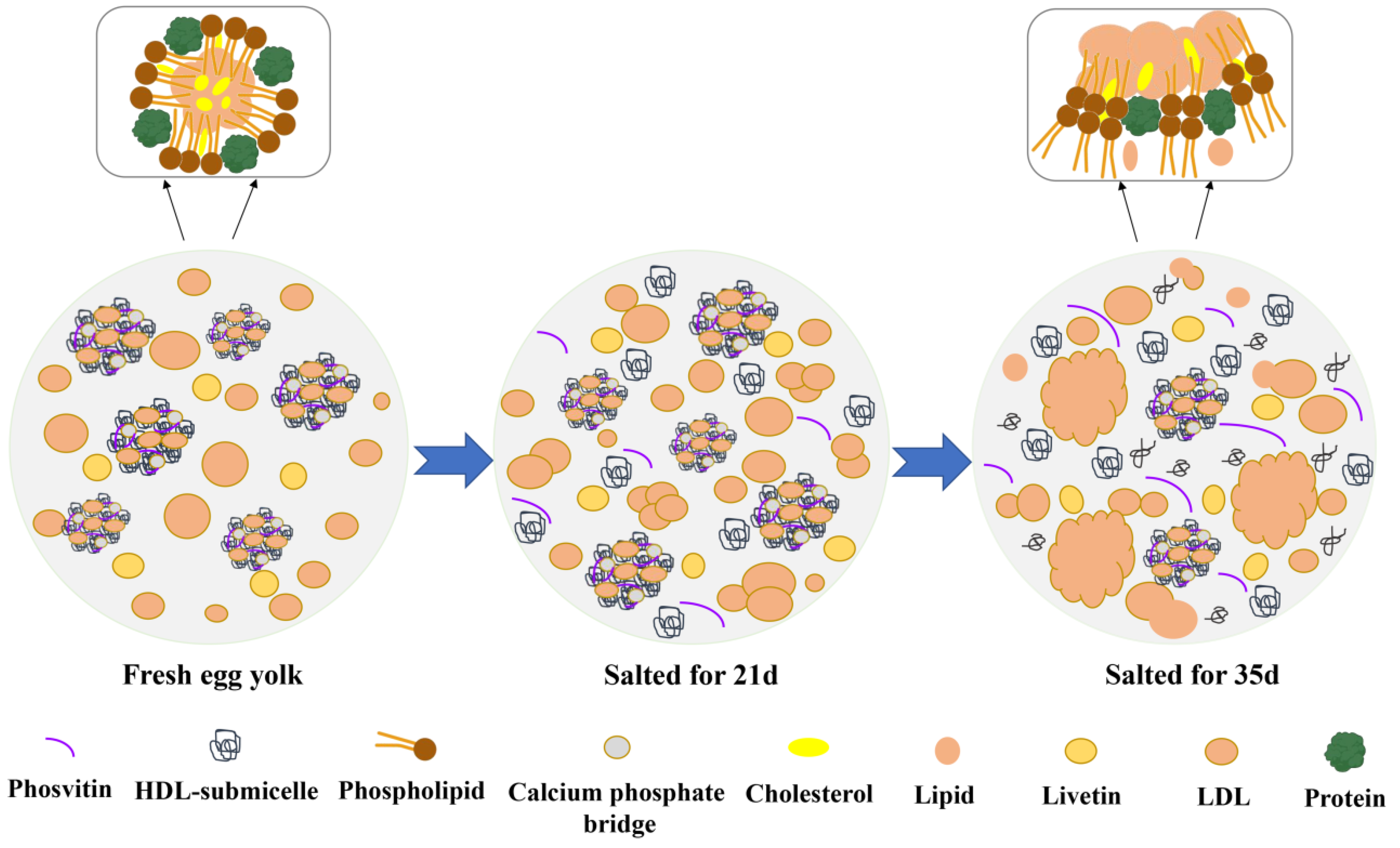 Foods 11 02949 g003 Foods 11 02949 g003