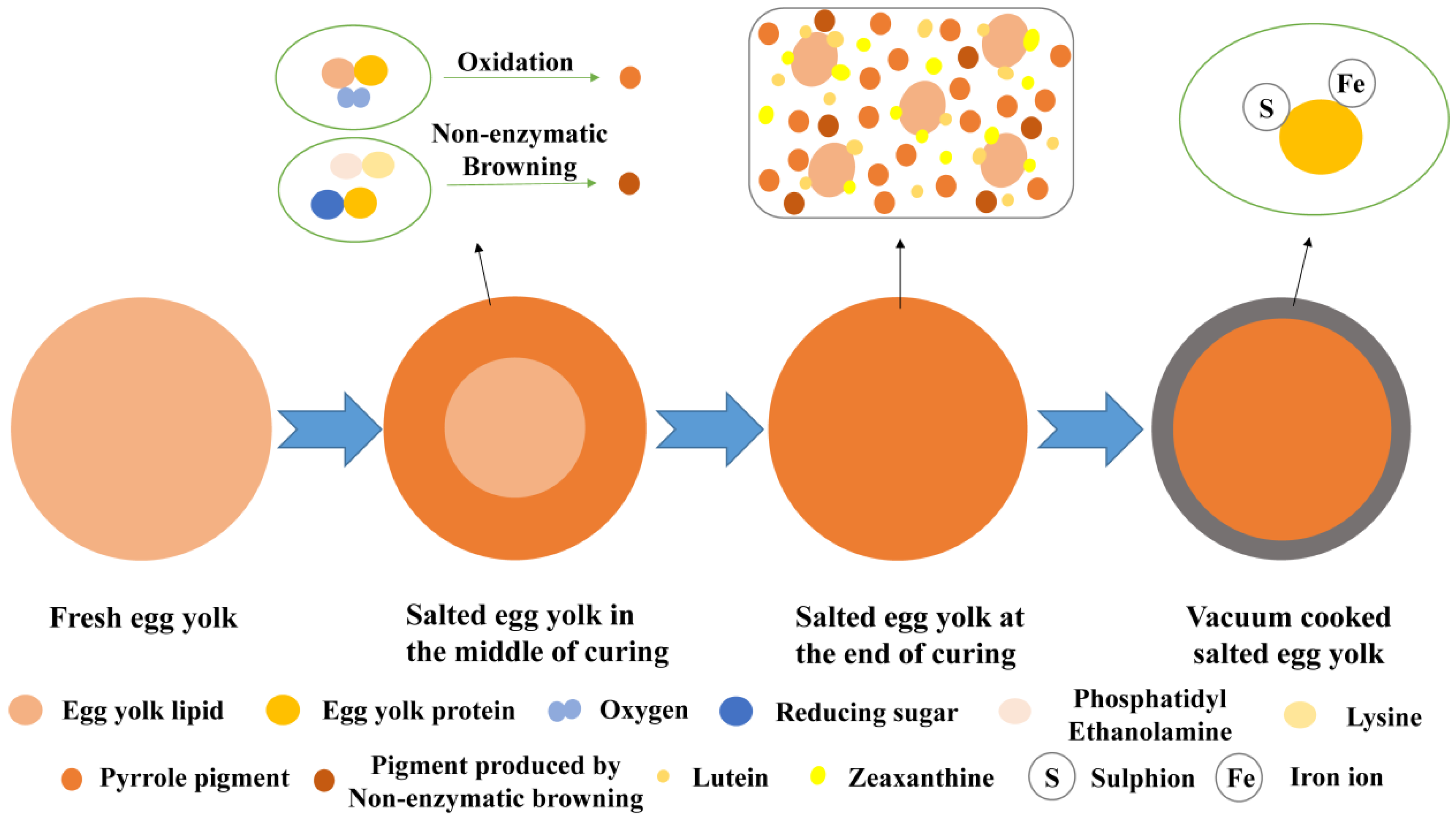 Foods 11 02949 g004 Foods 11 02949 g004