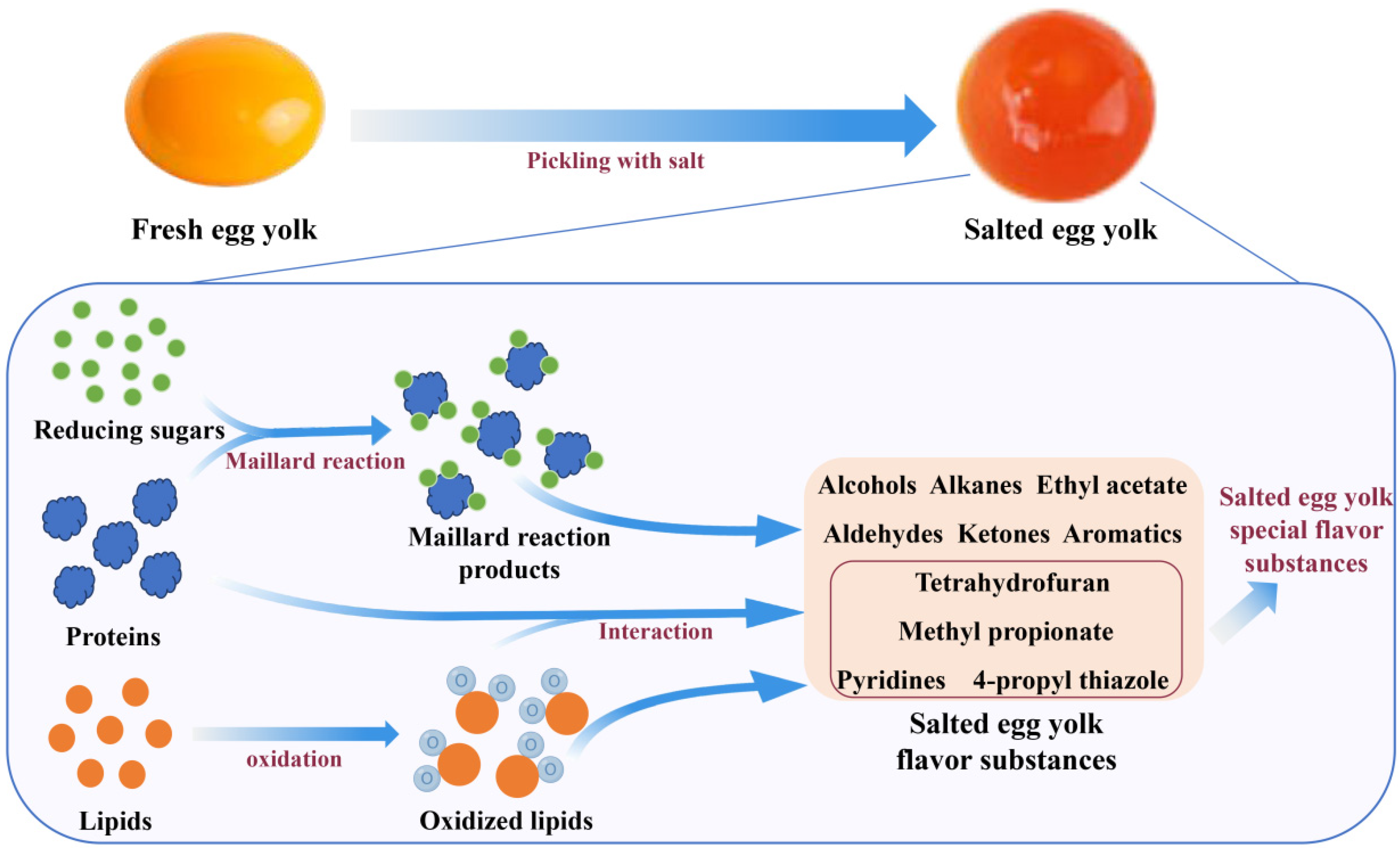 Foods 11 02949 g005 Foods 11 02949 g005