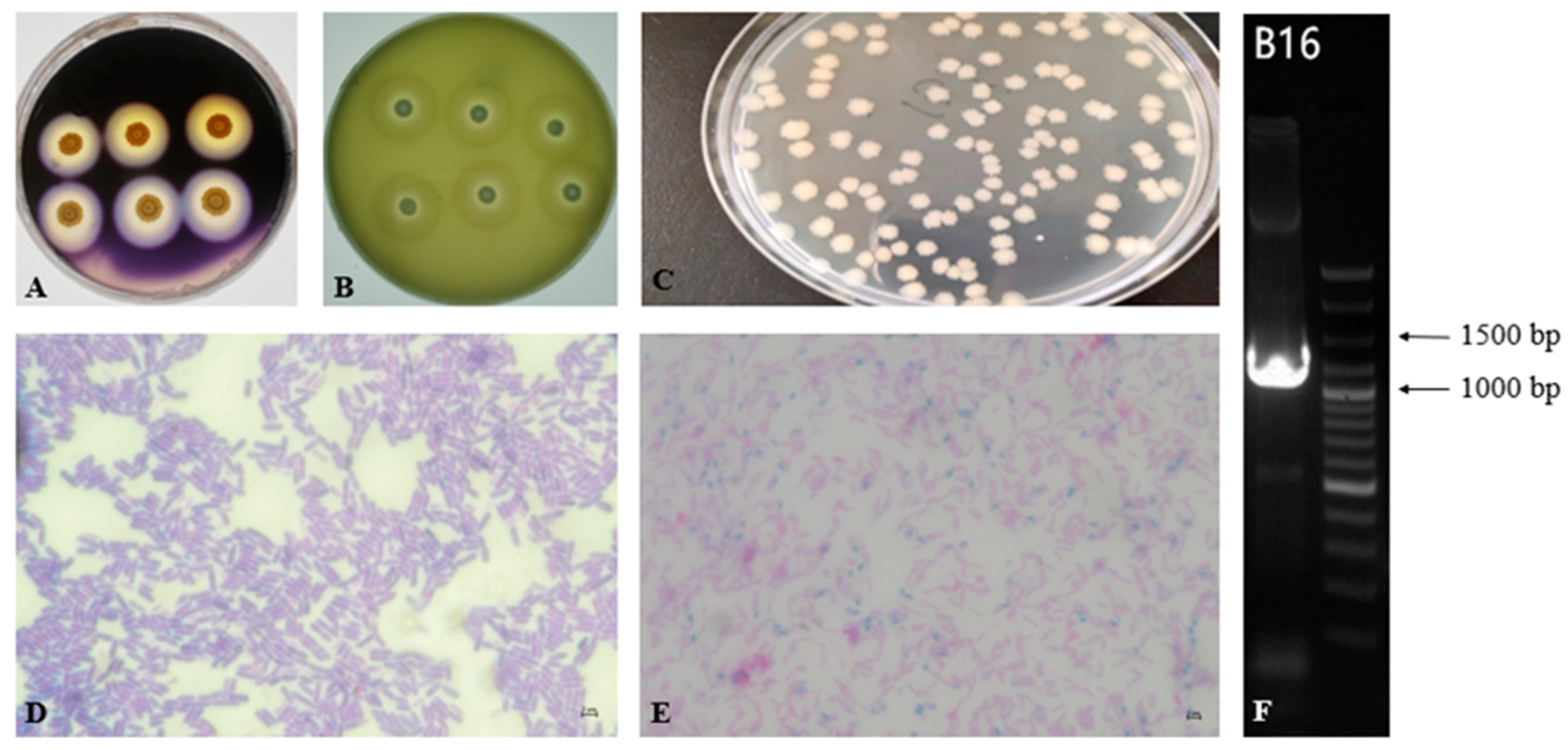 Foods 11 02952 g002 Foods 11 02952 g002
