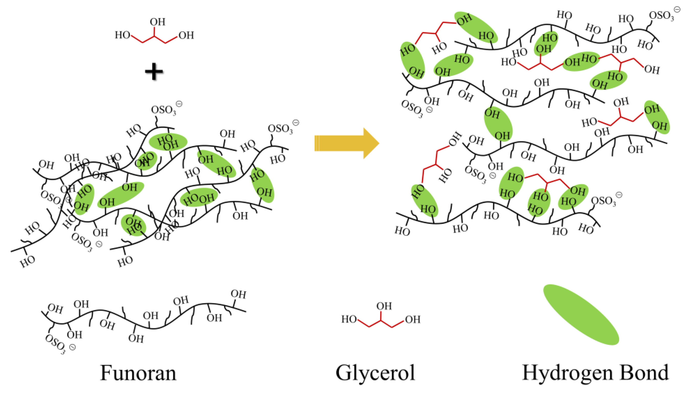 Foods 11 02971 g005 Foods 11 02971 g005
