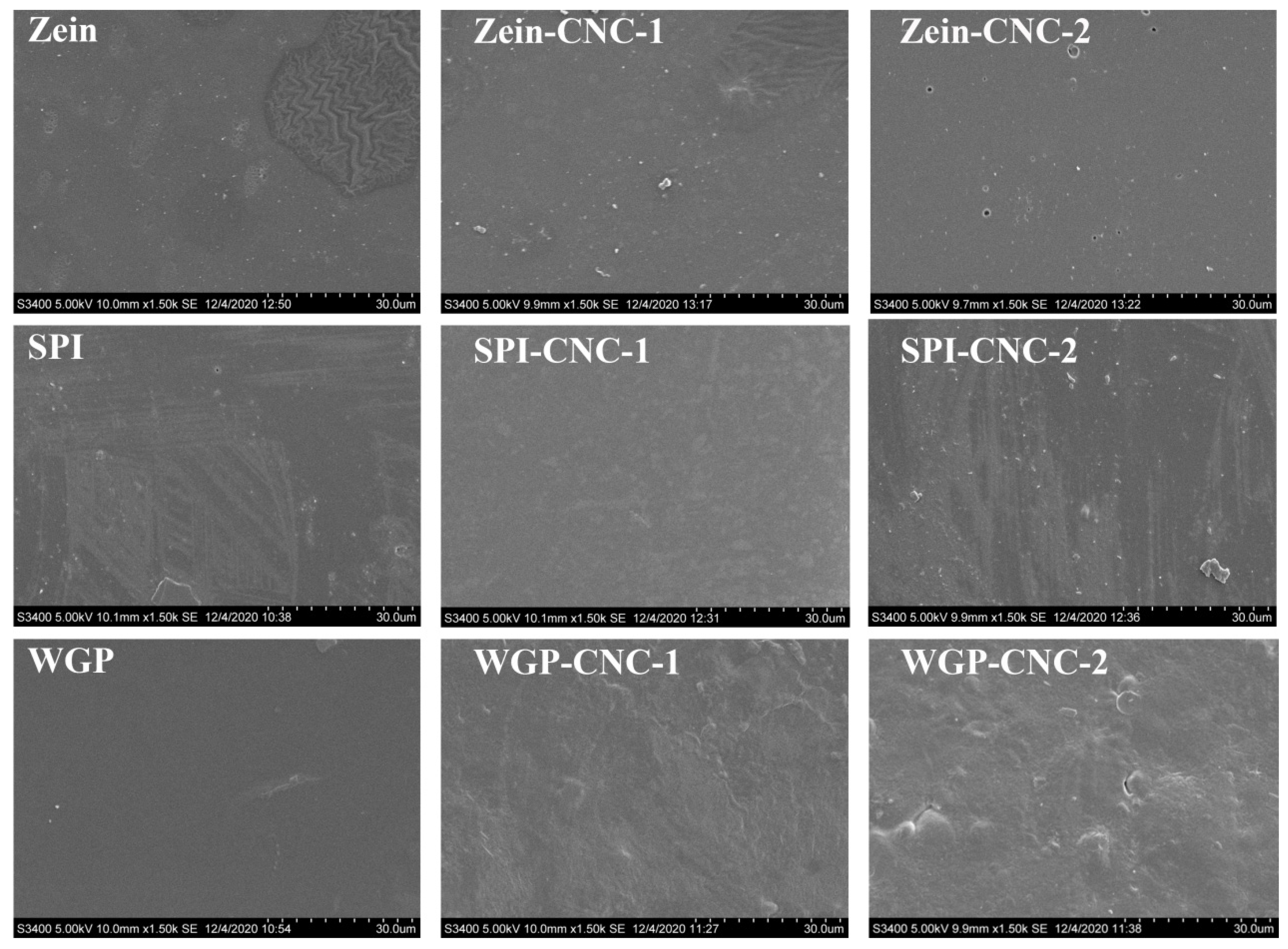 Foods 11 03010 g006 Foods 11 03010 g006